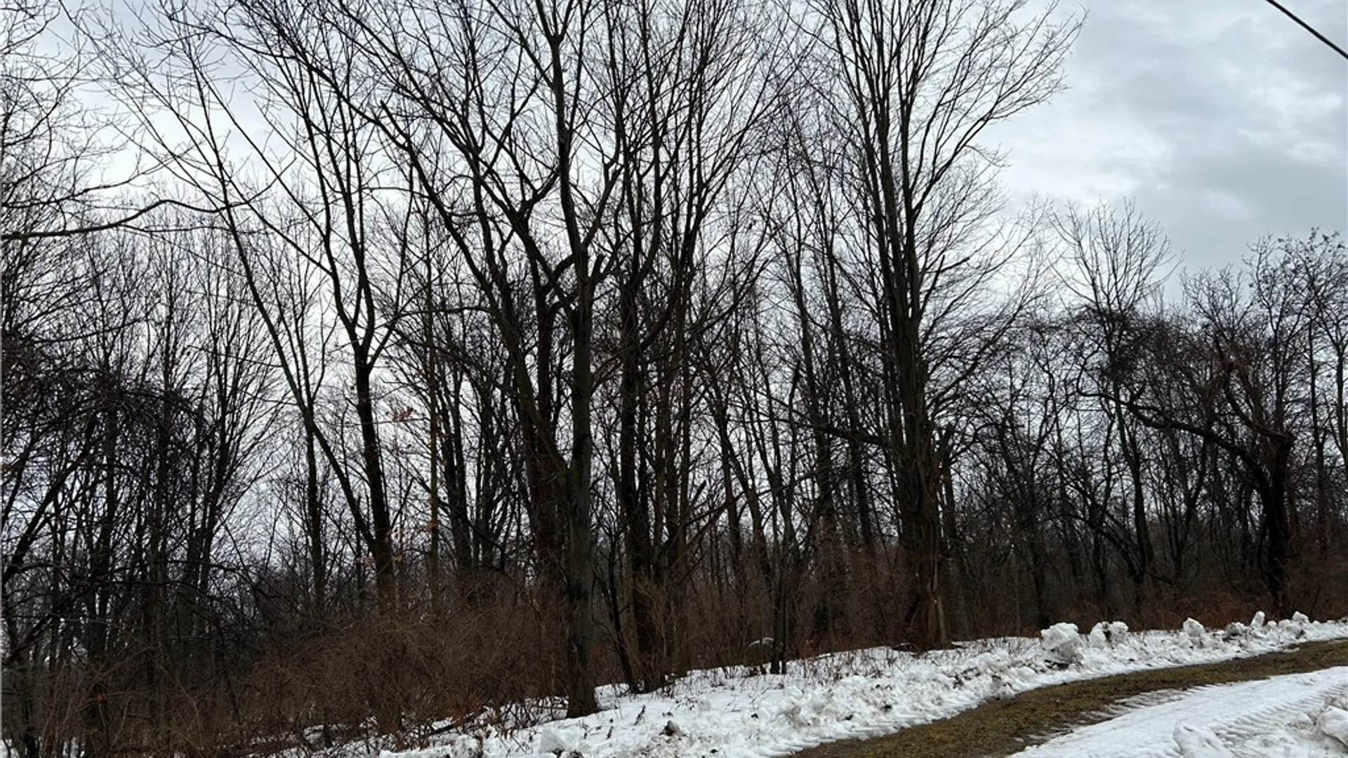 Property at Alleghany Road, Hanover, NY 14062 3