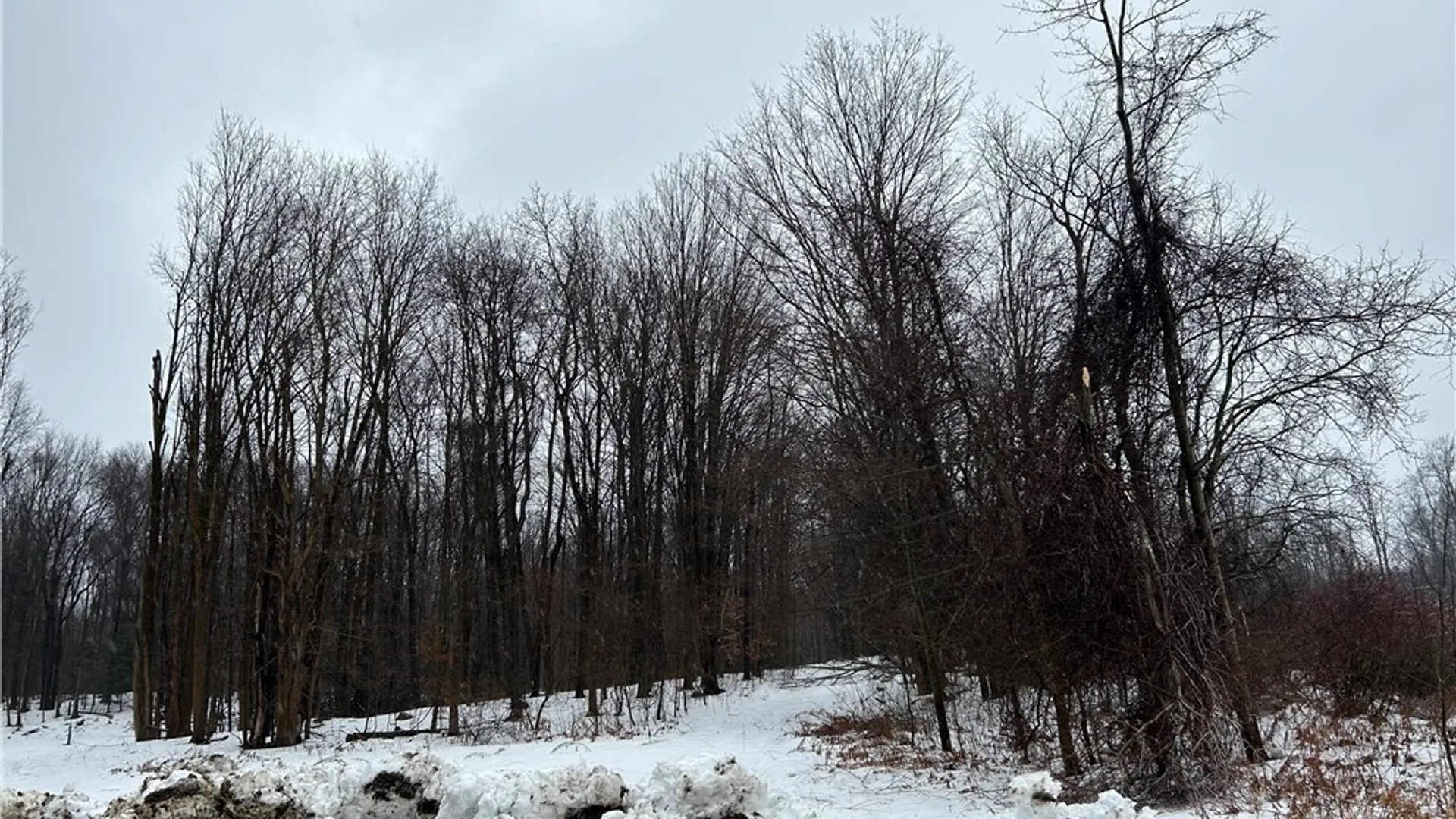 Property at Alleghany Road, Hanover, NY 14062 7