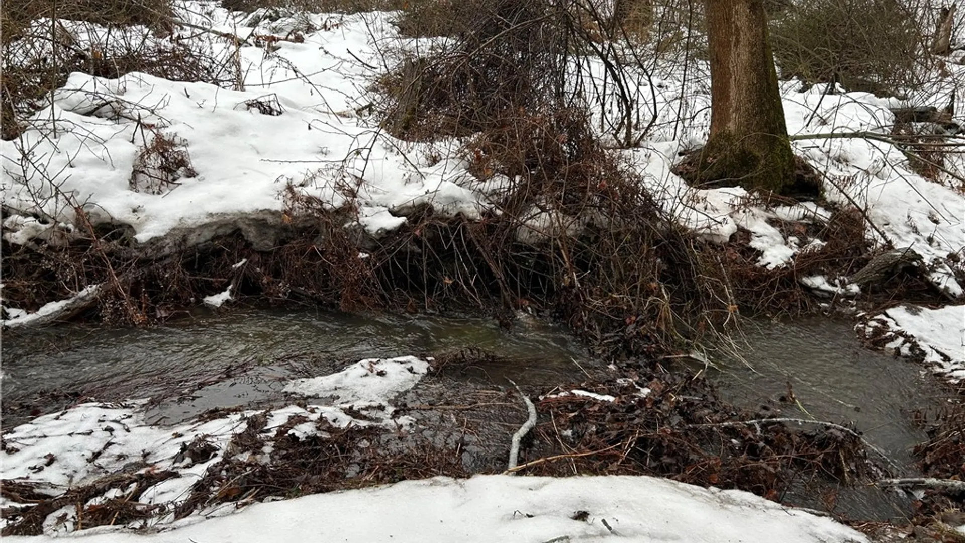 Property at Alleghany Road, Hanover, NY 14062 8