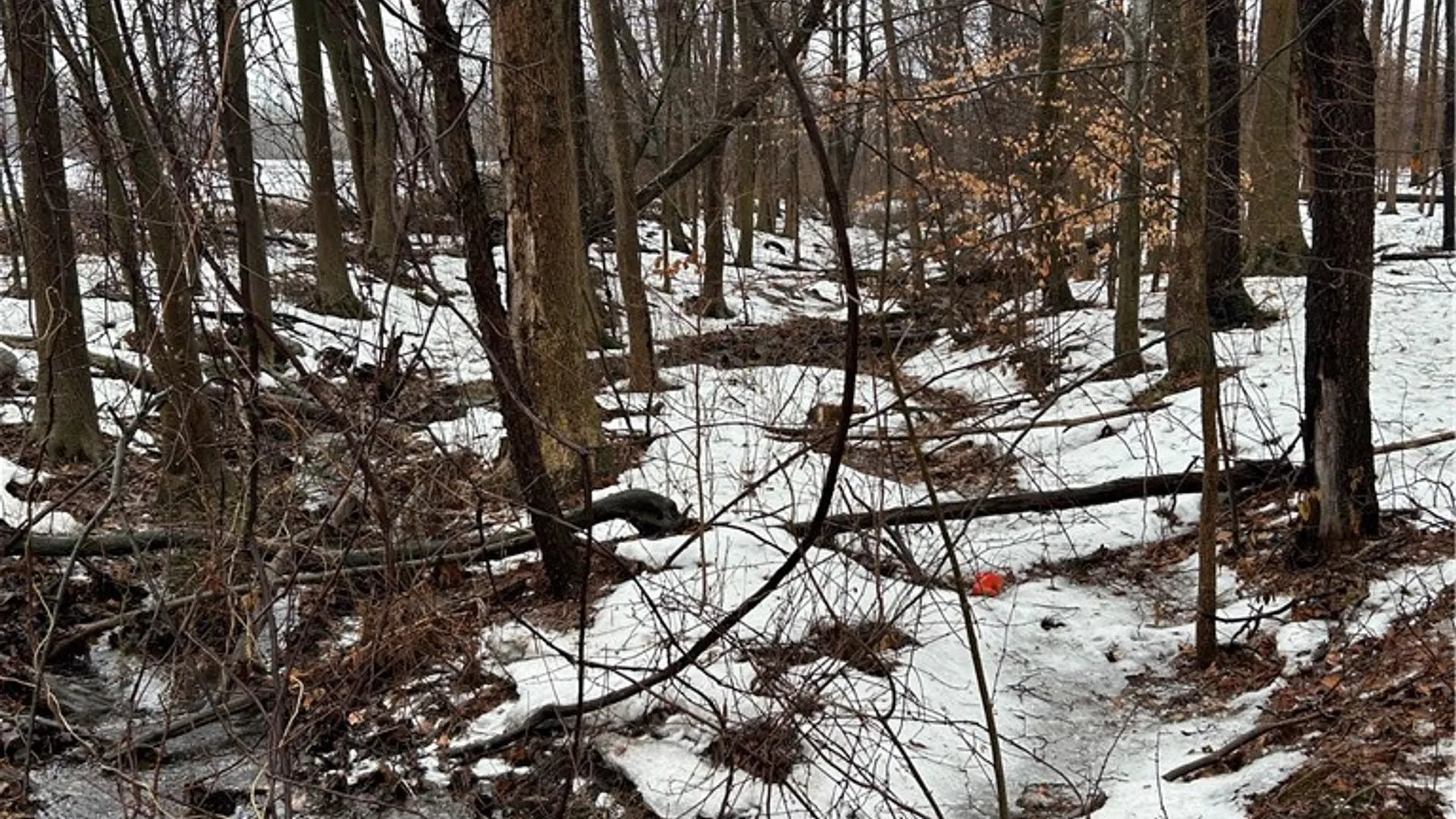 Property at Alleghany Road, Hanover, NY 14062 9