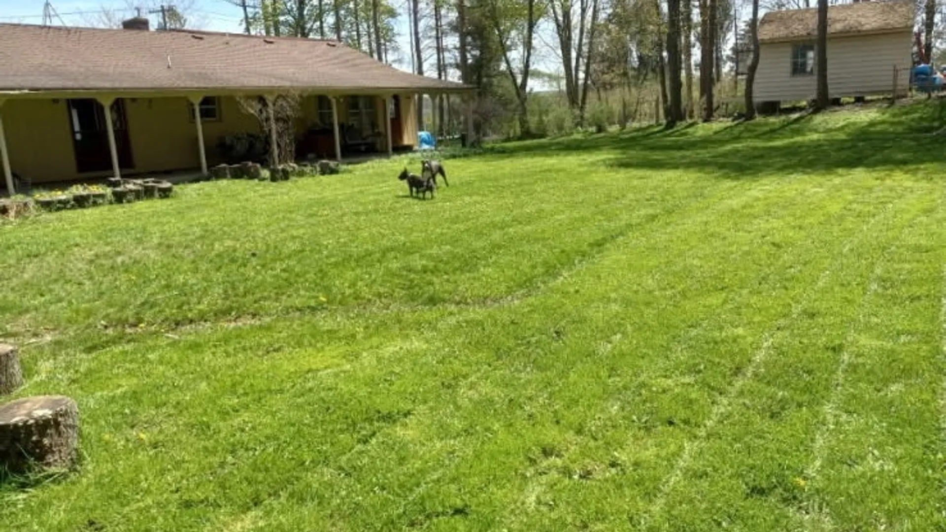 Property at 437 Busti Sugar Grove Road, Busti, NY 14701 3