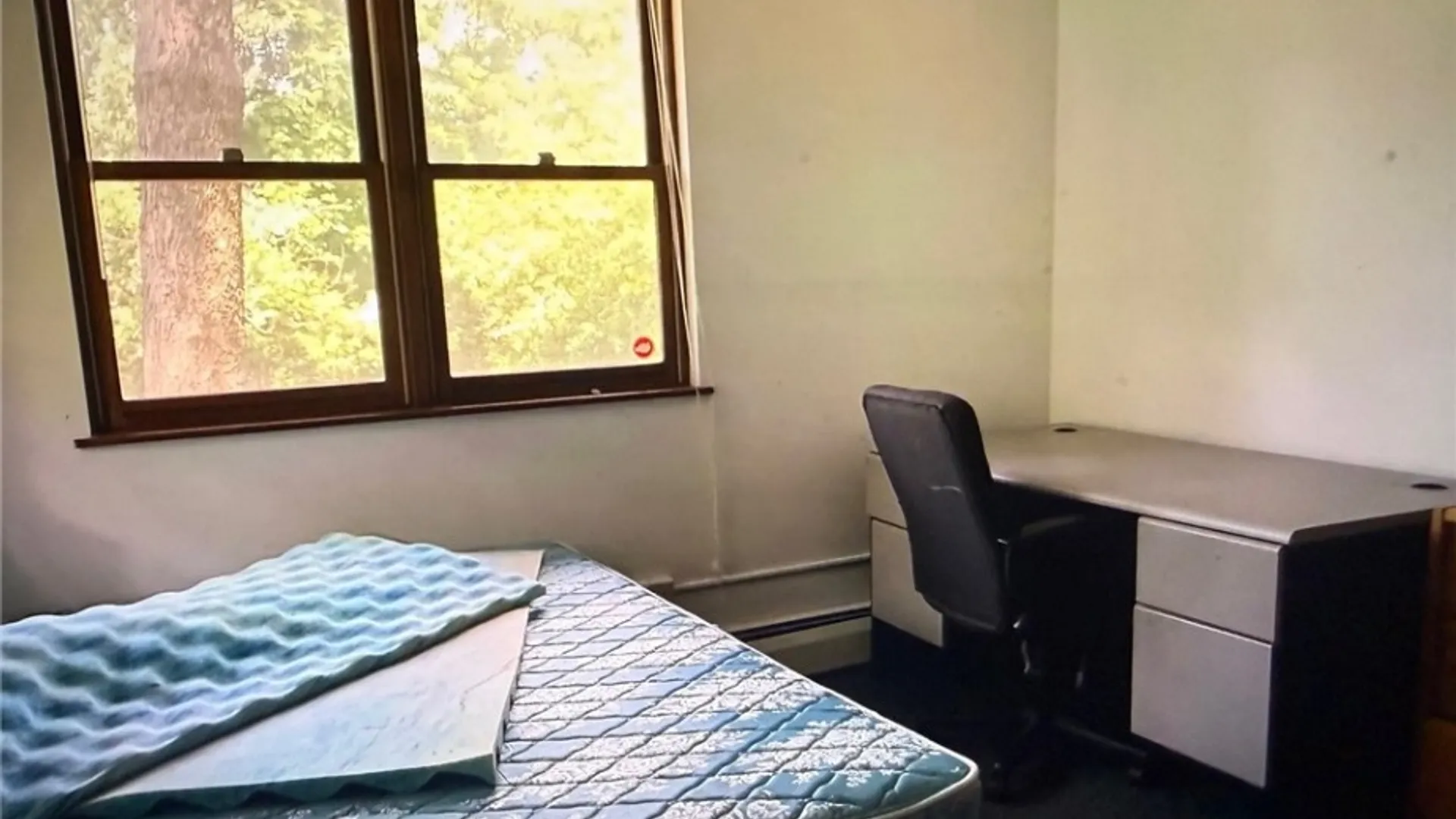 Property at 918 Danby Road, Ithaca Town, NY 14850 20