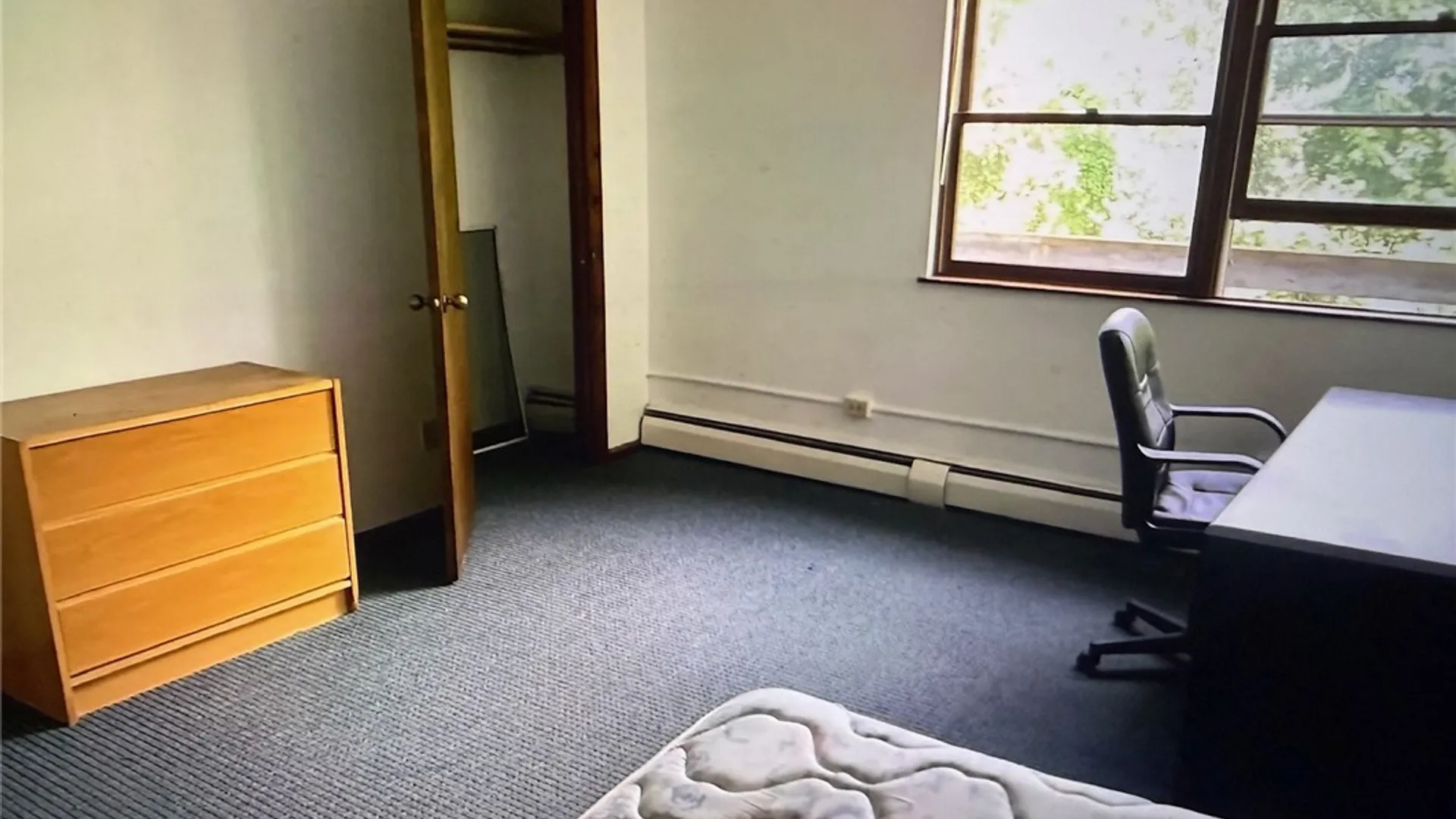 Property at 918 Danby Road, Ithaca Town, NY 14850 22