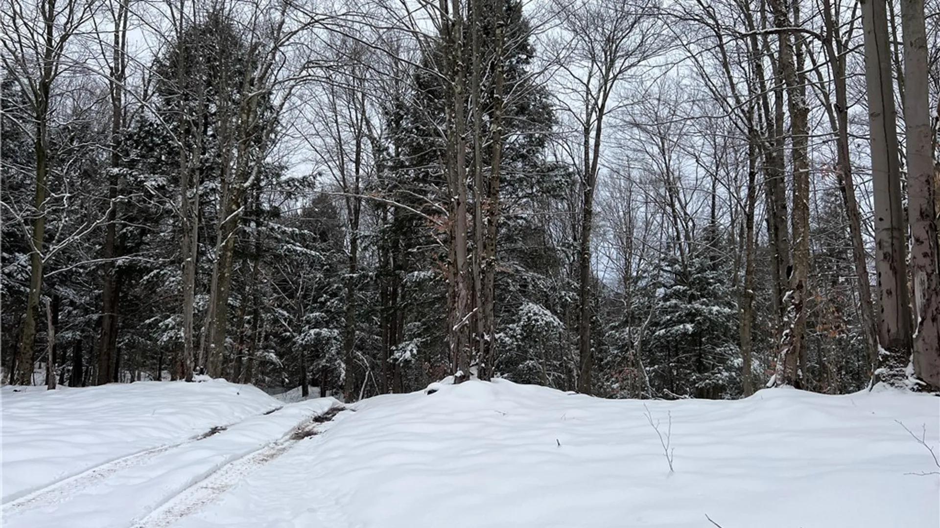 Property at Center Street, Constantia, NY 13042 14