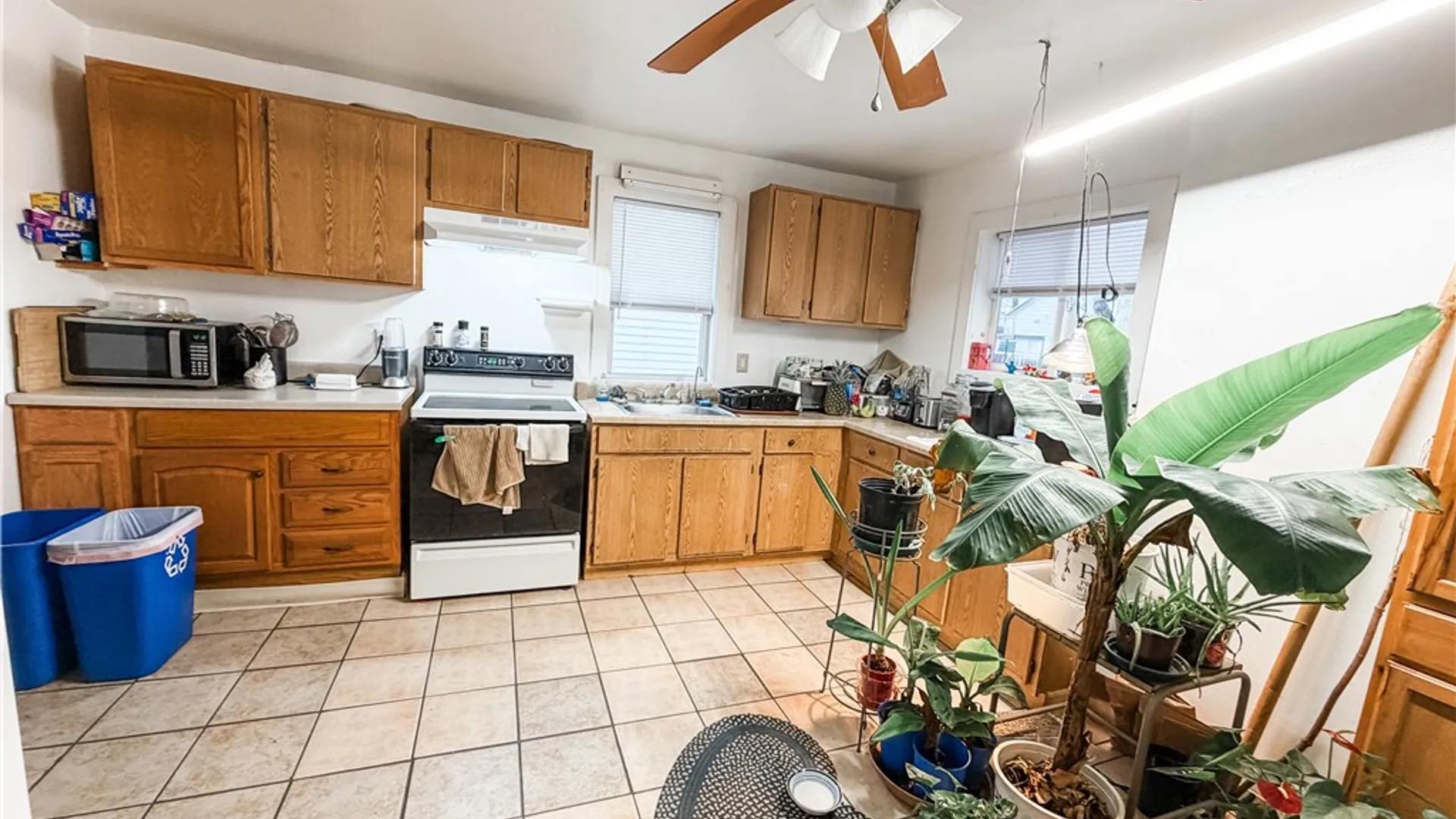 Property at 19 Bradford Street, Auburn, NY 13021 20