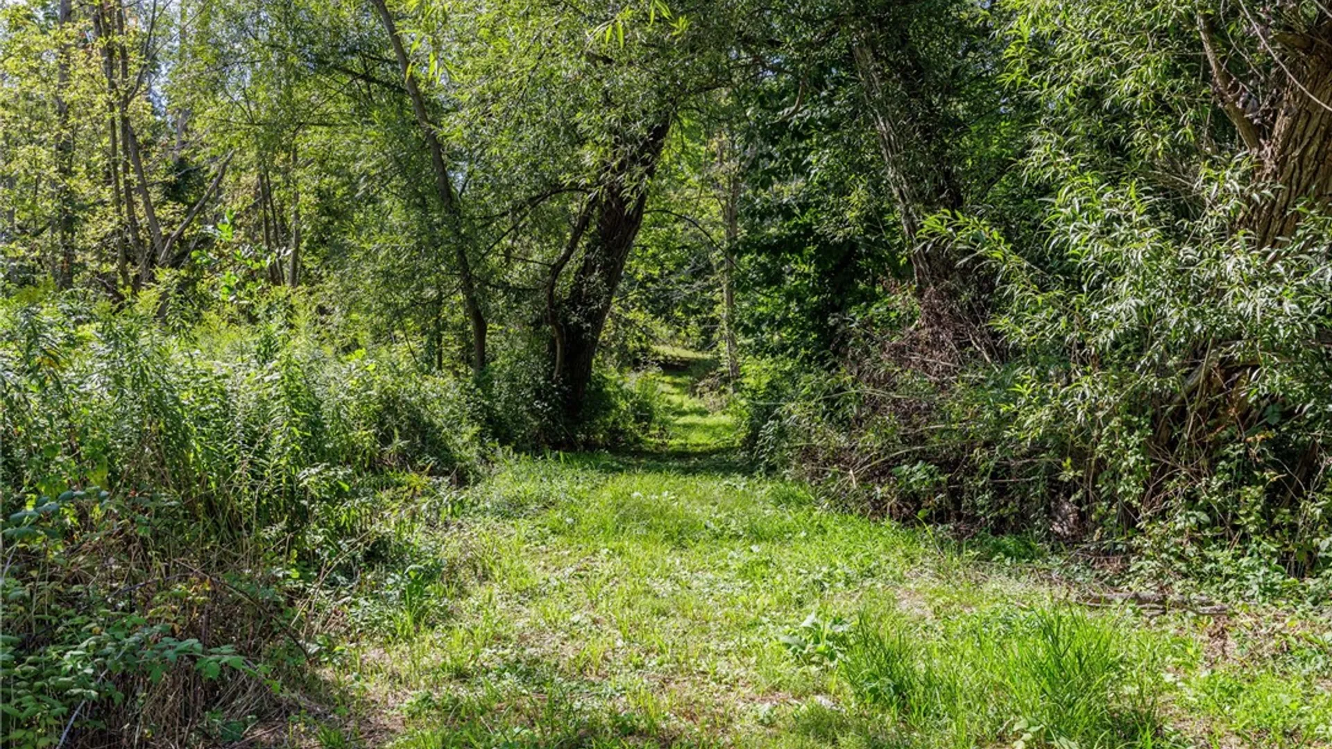 Property at Port Bay Road, Huron, NY 14590 5