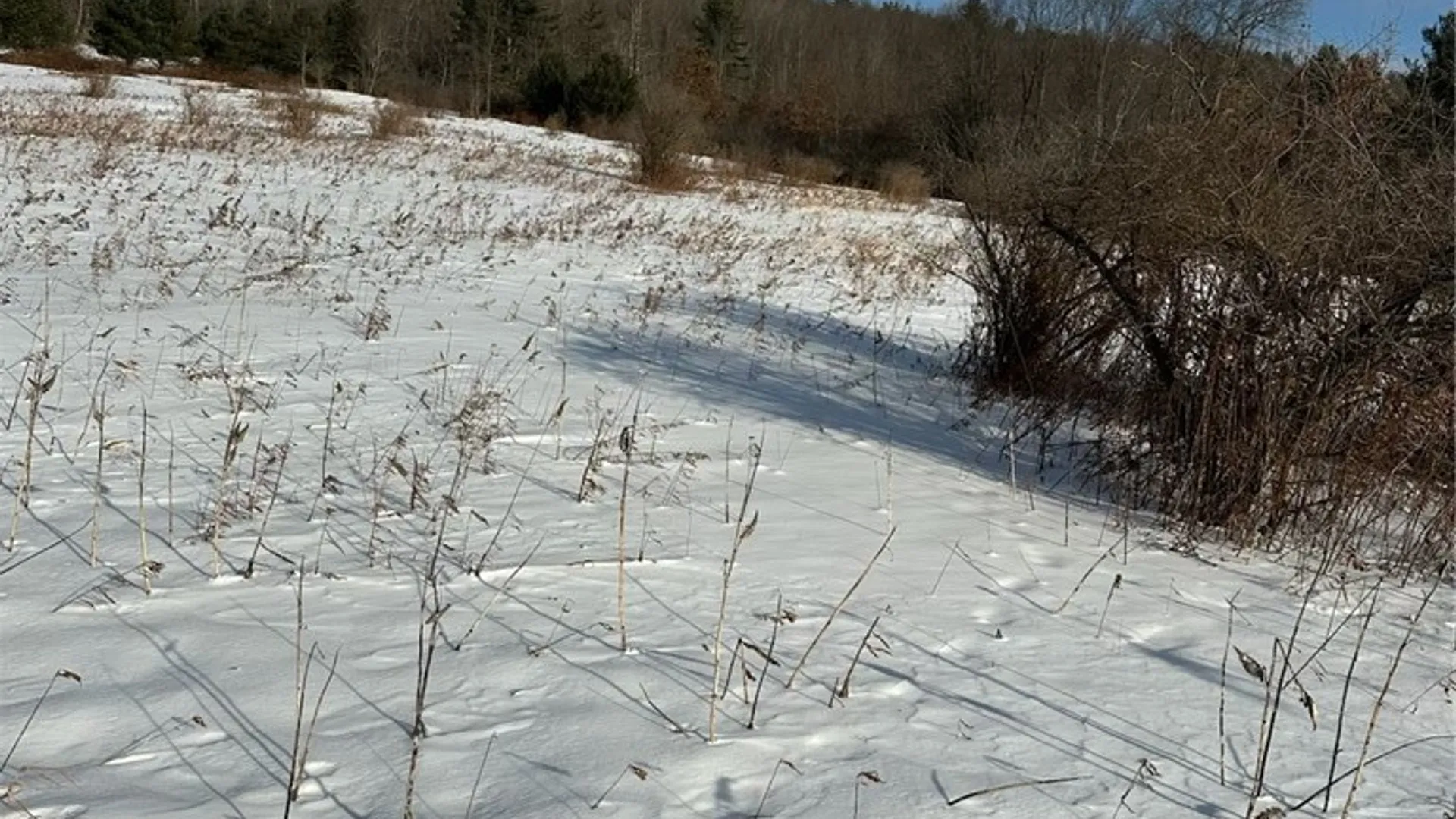 Property at Houck Drive, Bainbridge, NY 13733 10