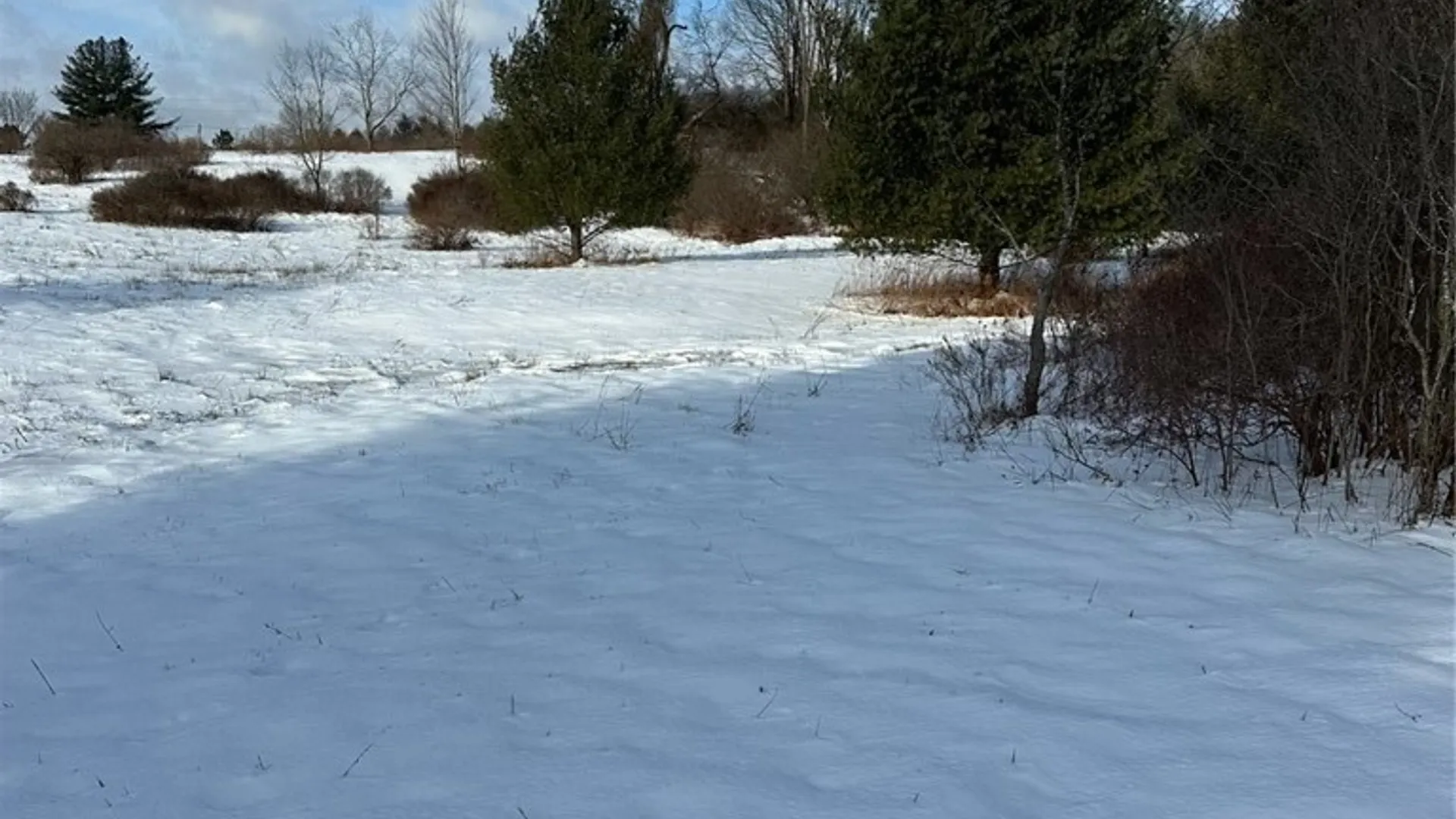 Property at Houck Drive, Bainbridge, NY 13733 12