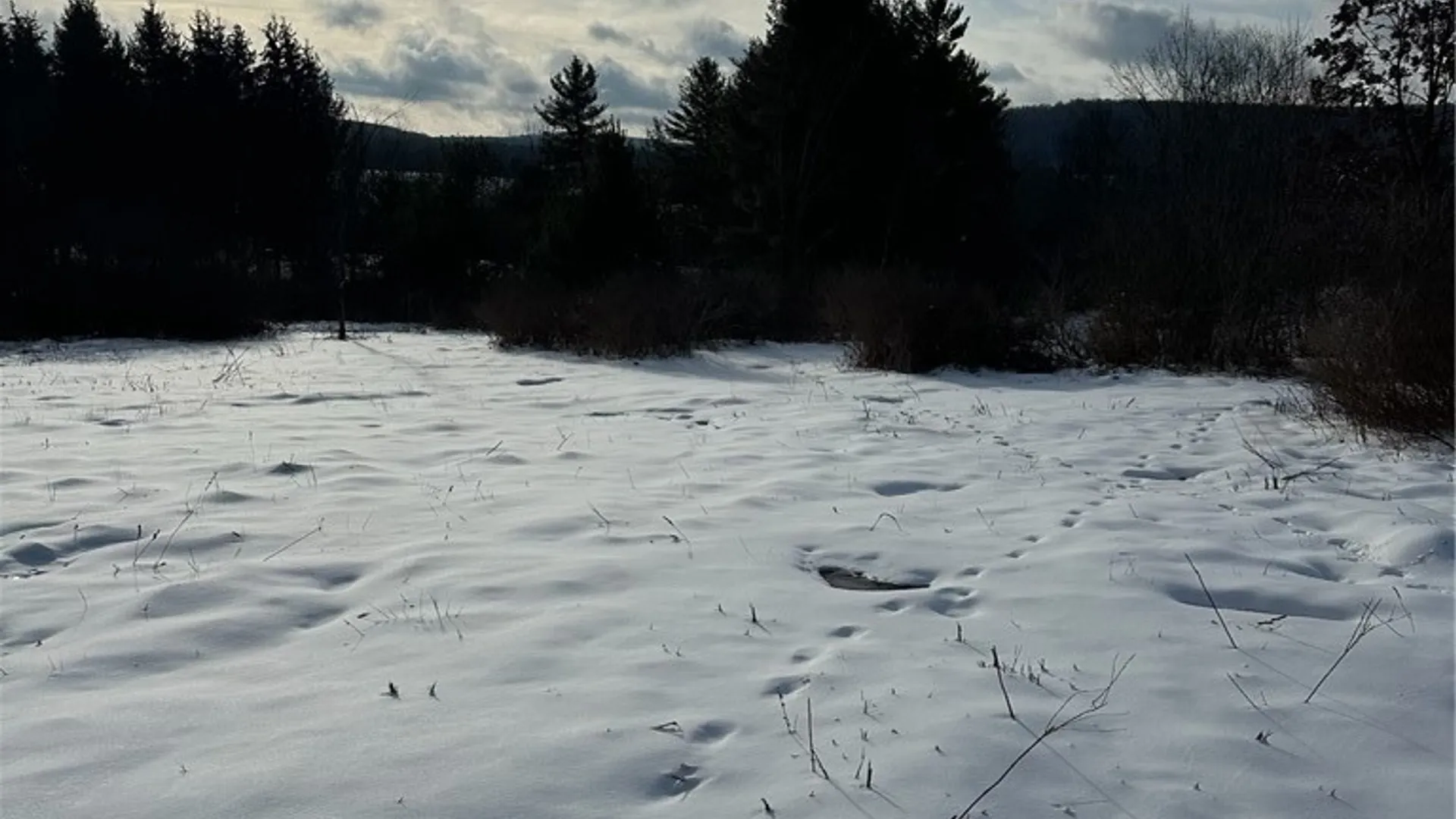 Property at Houck Drive, Bainbridge, NY 13733 13