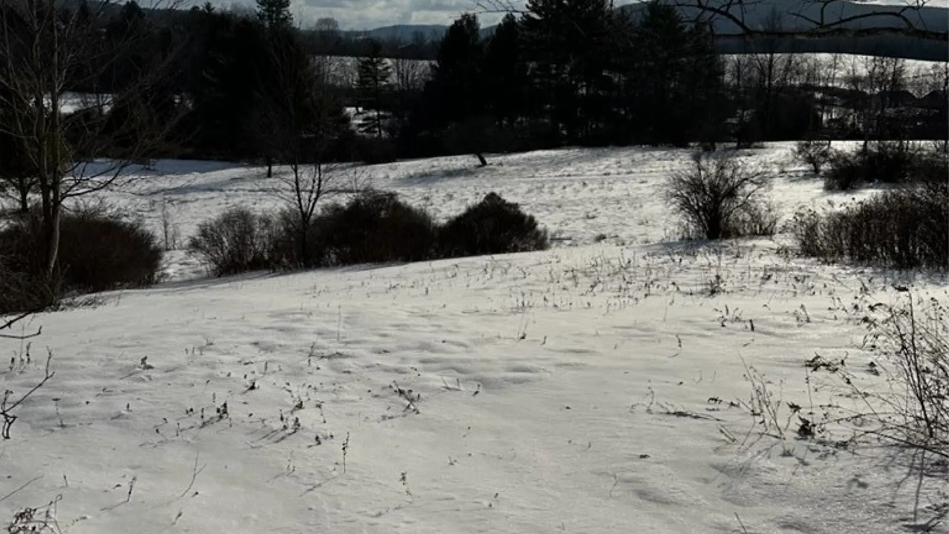 Property at Houck Drive, Bainbridge, NY 13733 14