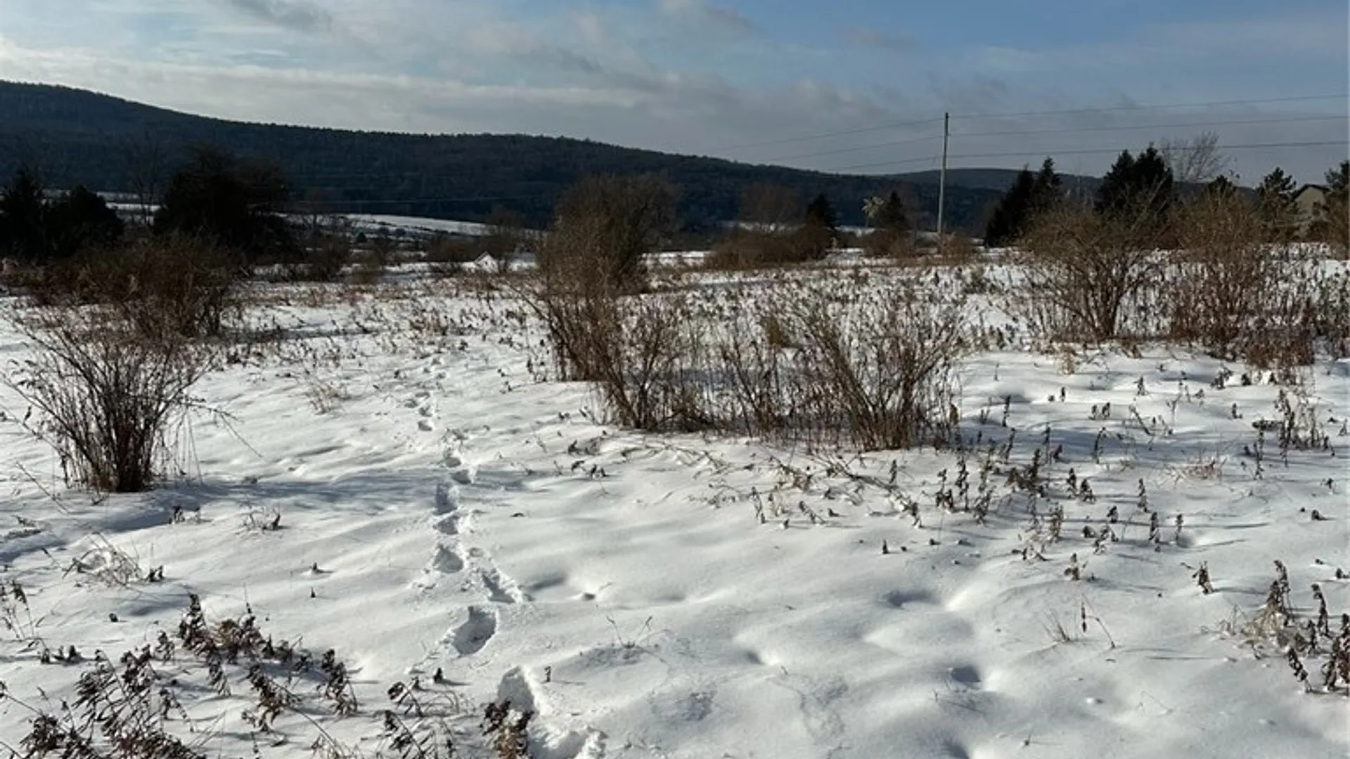 Property at Houck Drive, Bainbridge, NY 13733 15