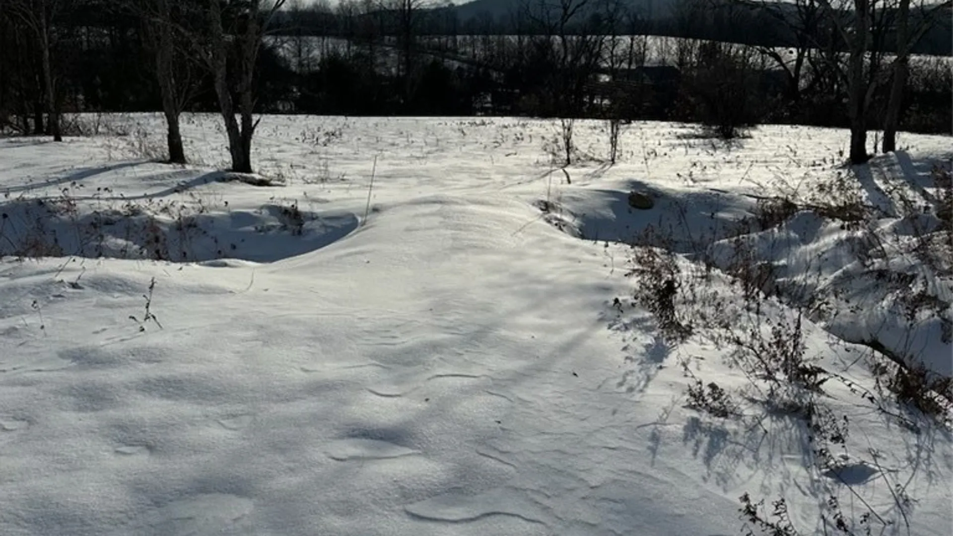 Property at Houck Drive, Bainbridge, NY 13733 16