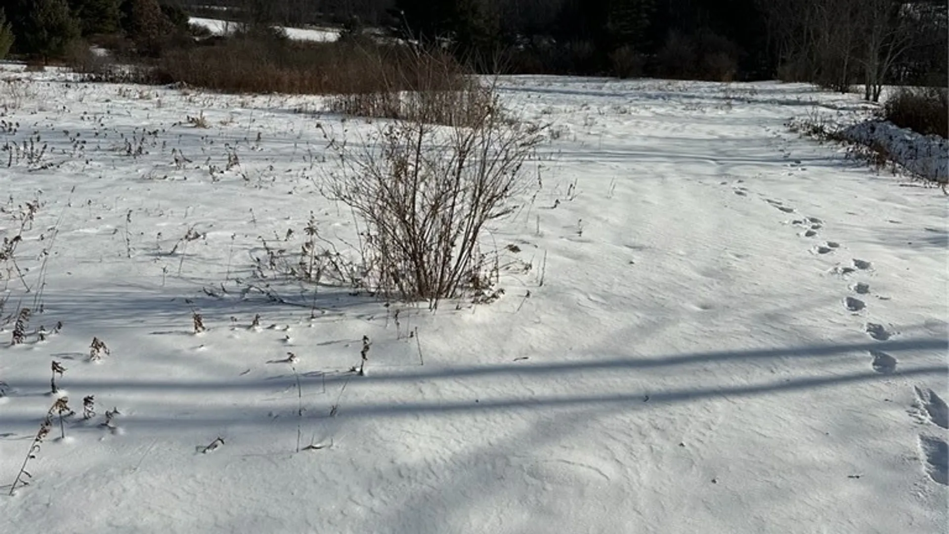 Property at Houck Drive, Bainbridge, NY 13733 18