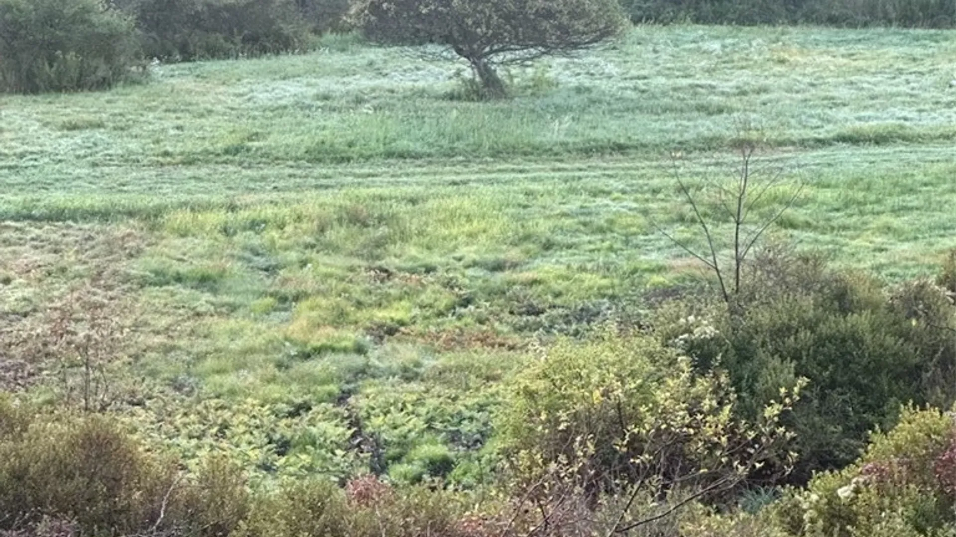 Property at Houck Drive, Bainbridge, NY 13733 6