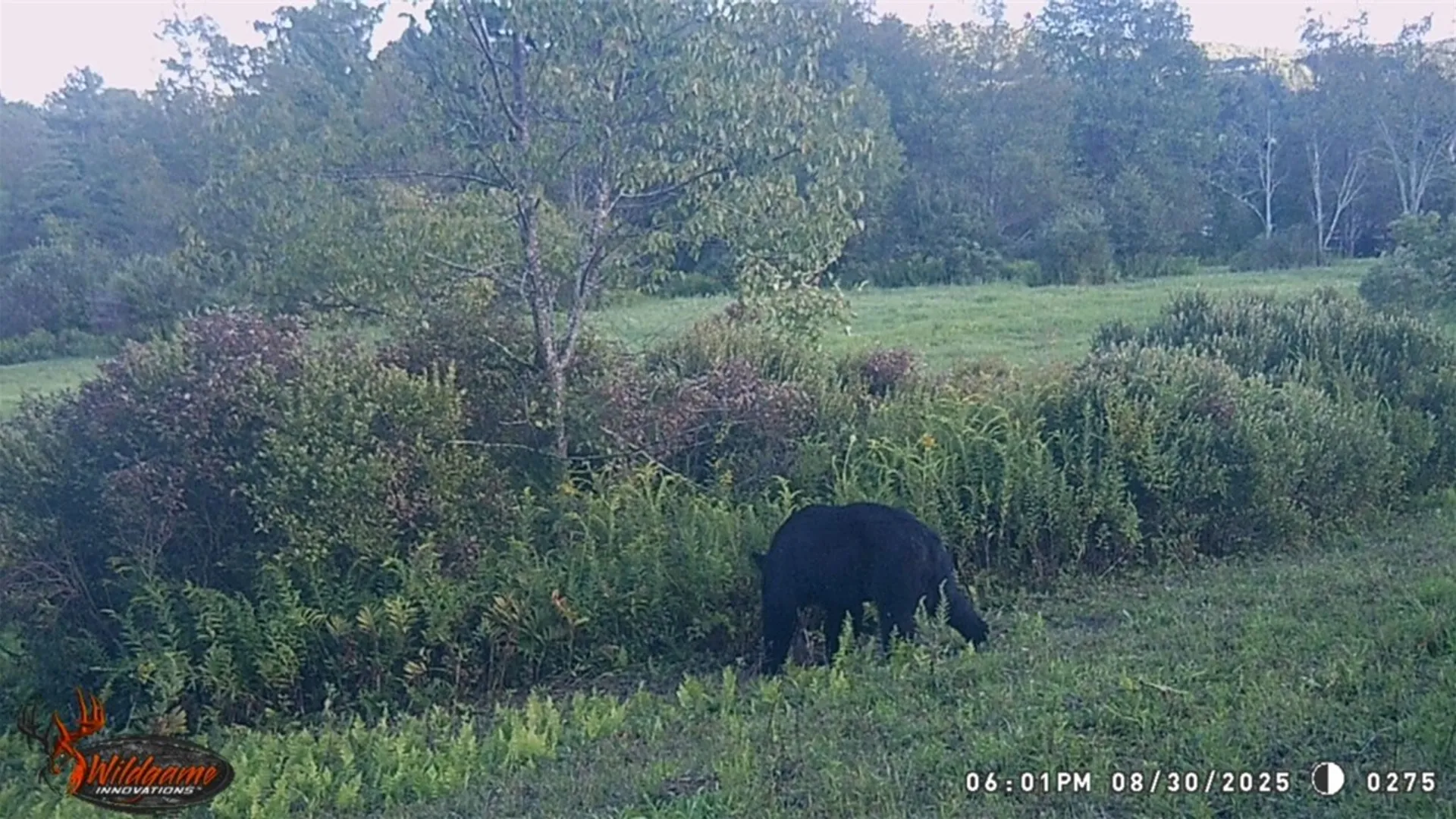 Property at Houck Drive, Bainbridge, NY 13733 7