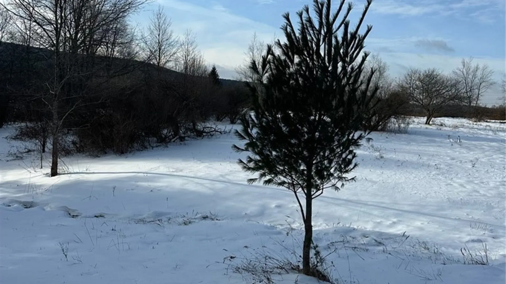 Property at Houck Drive, Bainbridge, NY 13733 8