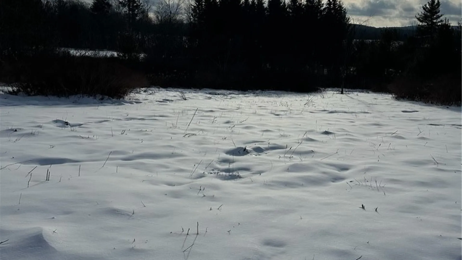 Property at Houck Drive, Bainbridge, NY 13733 9