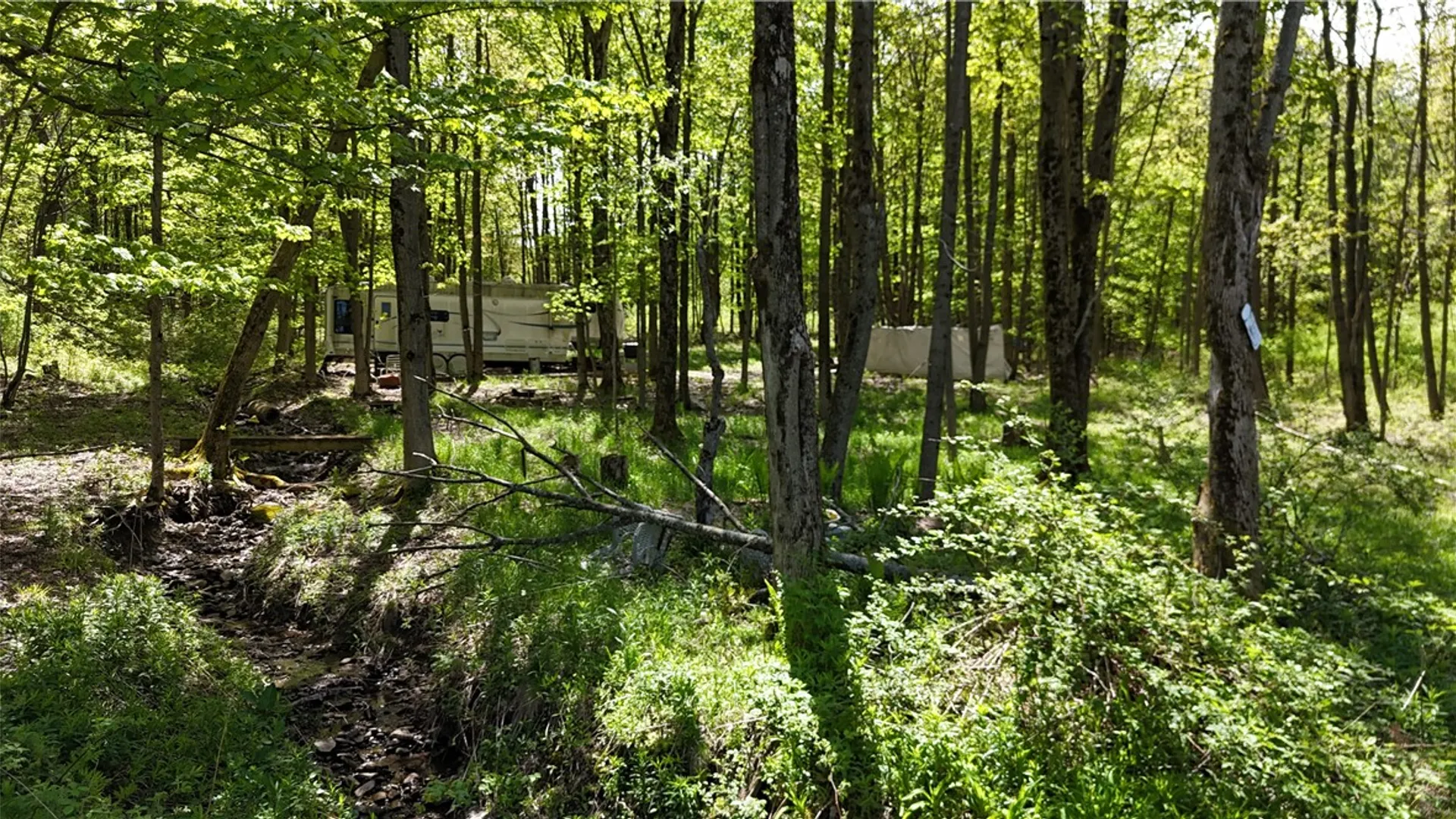 Property at 16 Deer Pond, Orangeville, NY 14569 18