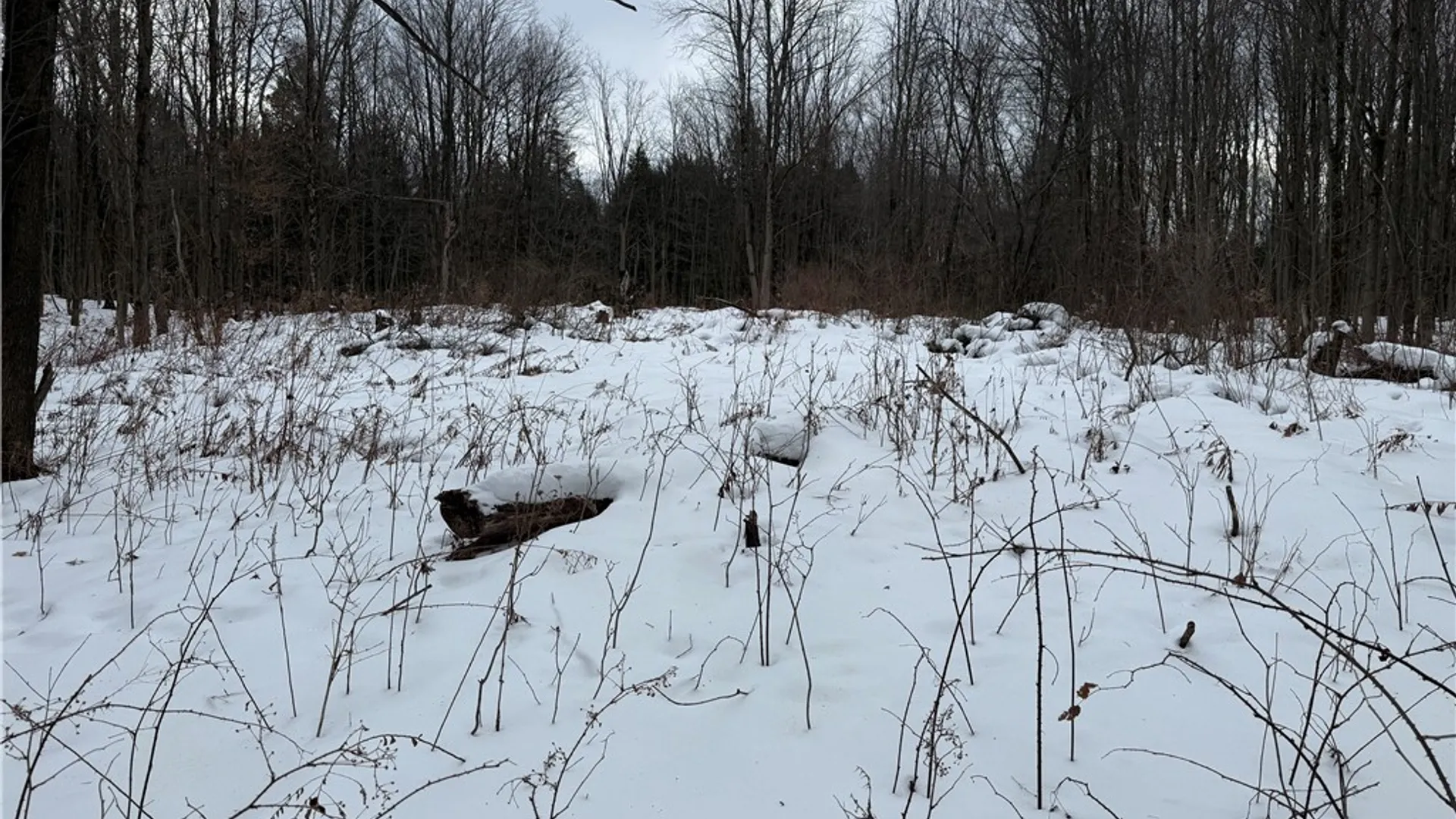 Property at 16 Deer Pond, Orangeville, NY 14569 4