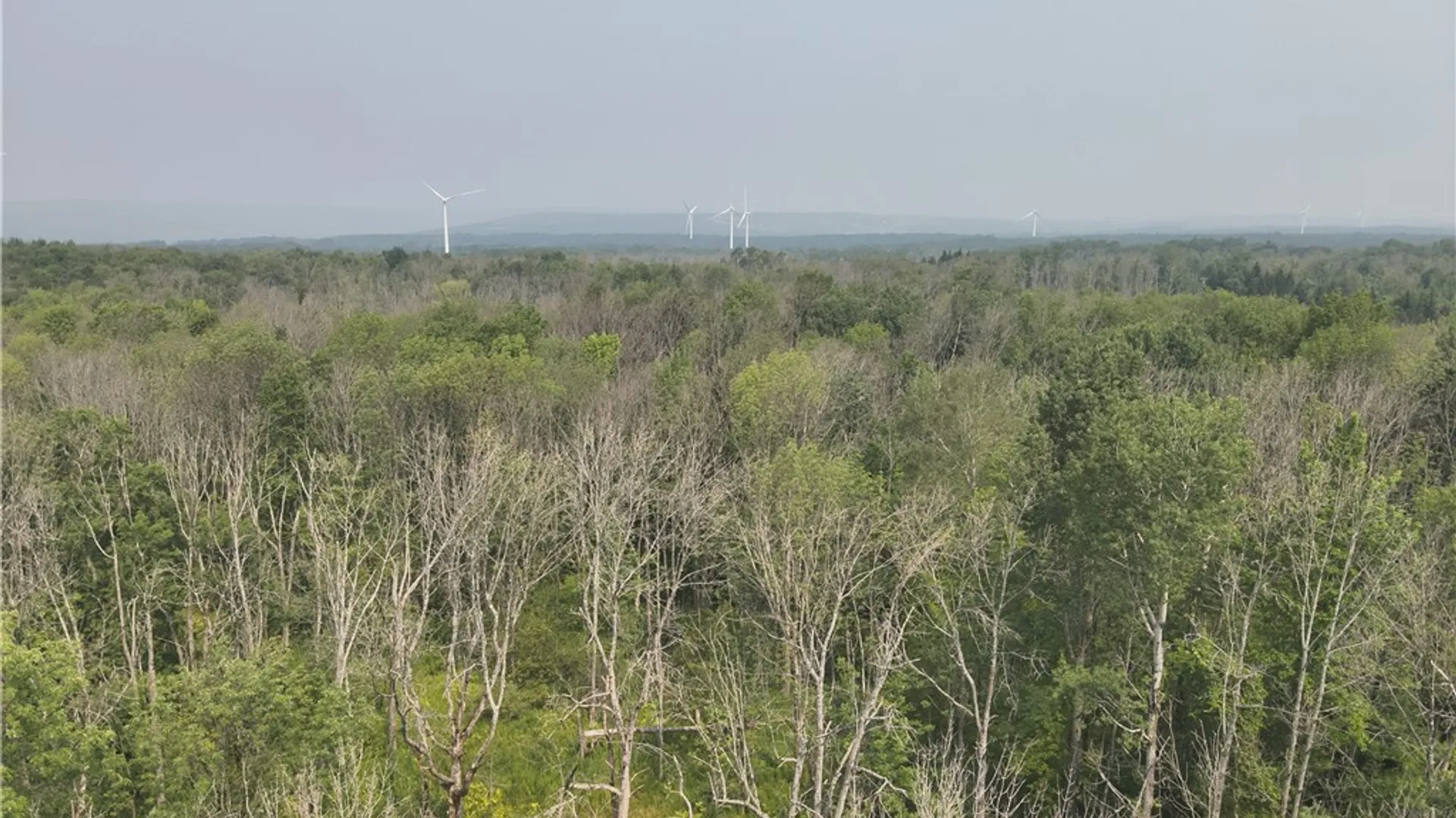 Property at 16 Deer Pond, Orangeville, NY 14569 6