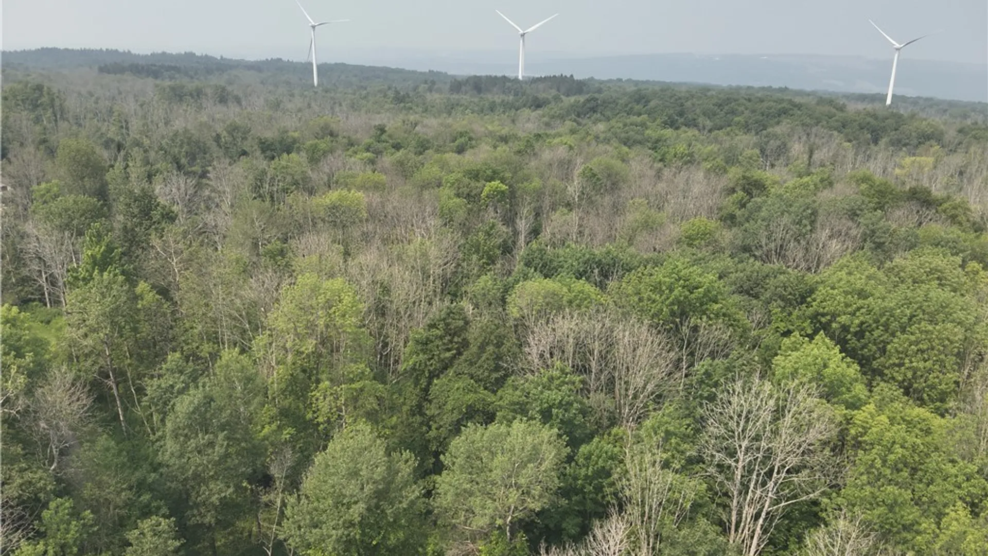 Property at 16 Deer Pond, Orangeville, NY 14569 7