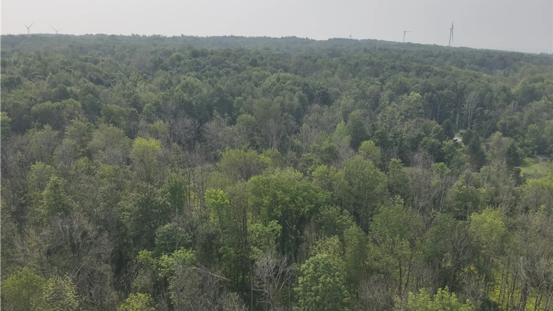 Property at 16 Deer Pond, Orangeville, NY 14569 8