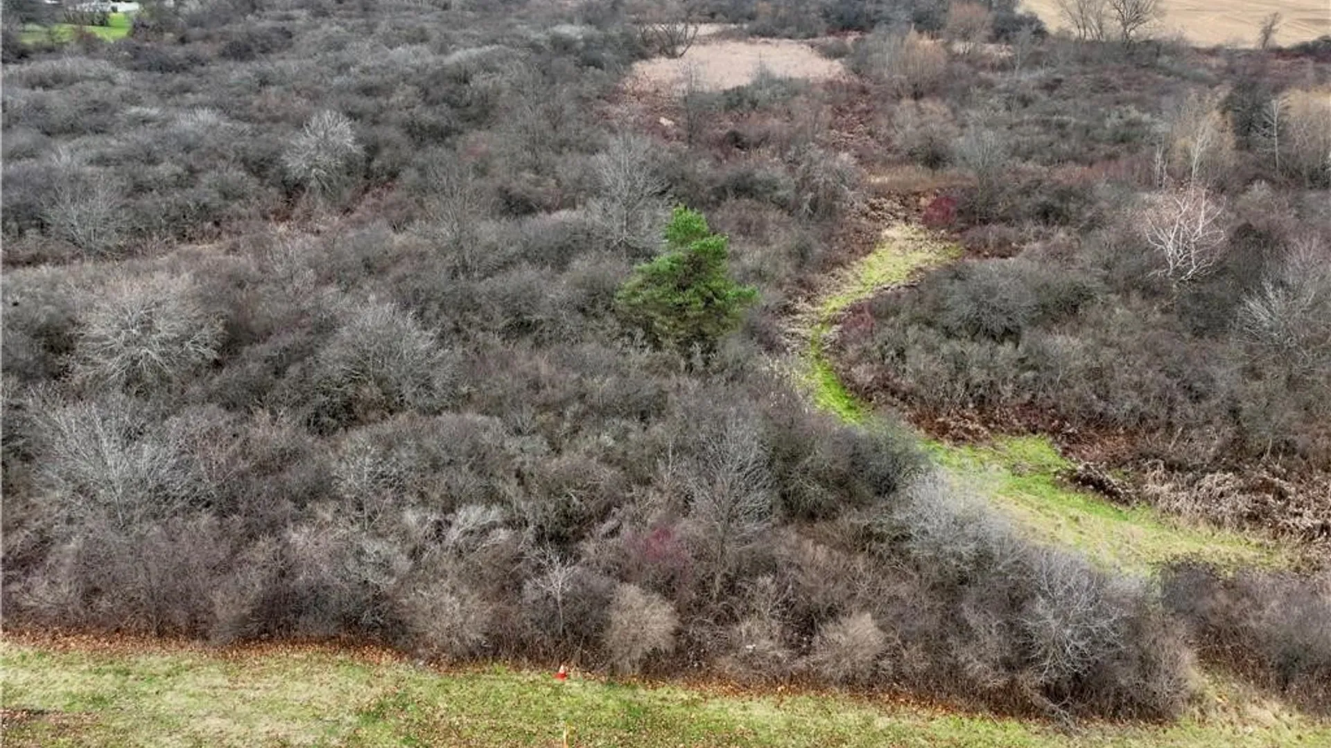 Property at 0 Brace Road - 12.9 Acres, Victor, NY 14564 3