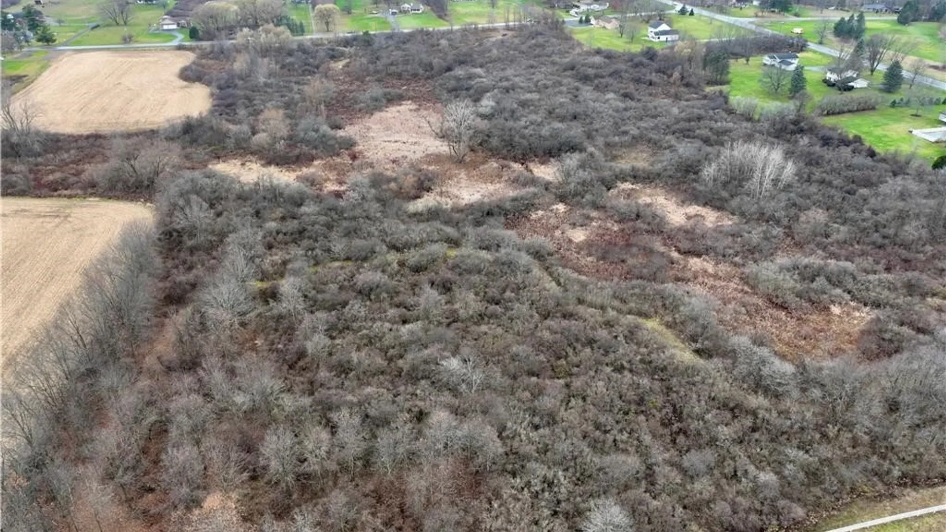 Property at 0 Brace Road - 12.9 Acres, Victor, NY 14564 8