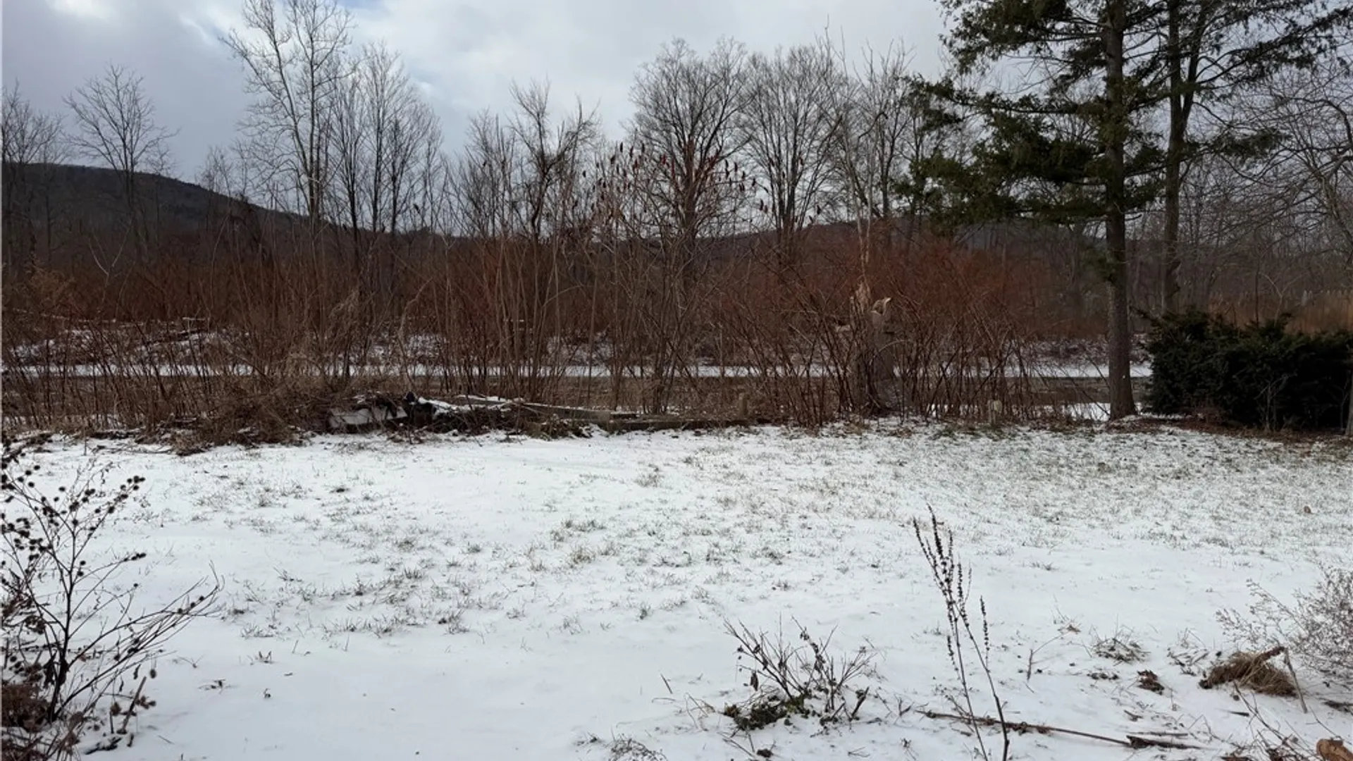 Property at 9100 State Route 415, Campbell, NY 14821 4