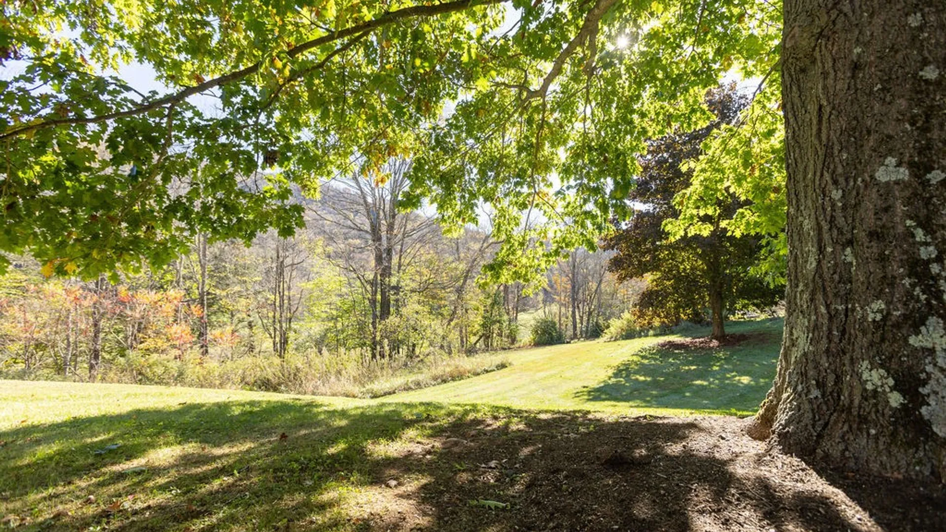 Property at 20850 State Highway 28, Delhi, NY 13753 10