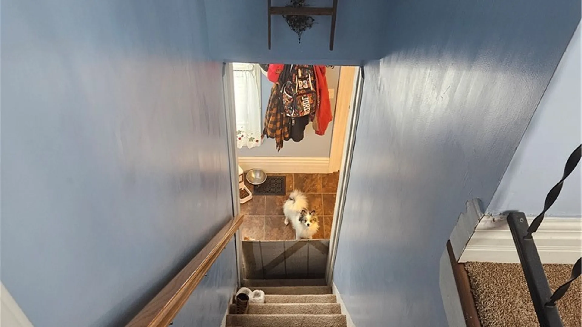 Property at 5707 Scenic Avenue, Mexico, NY 13114 13