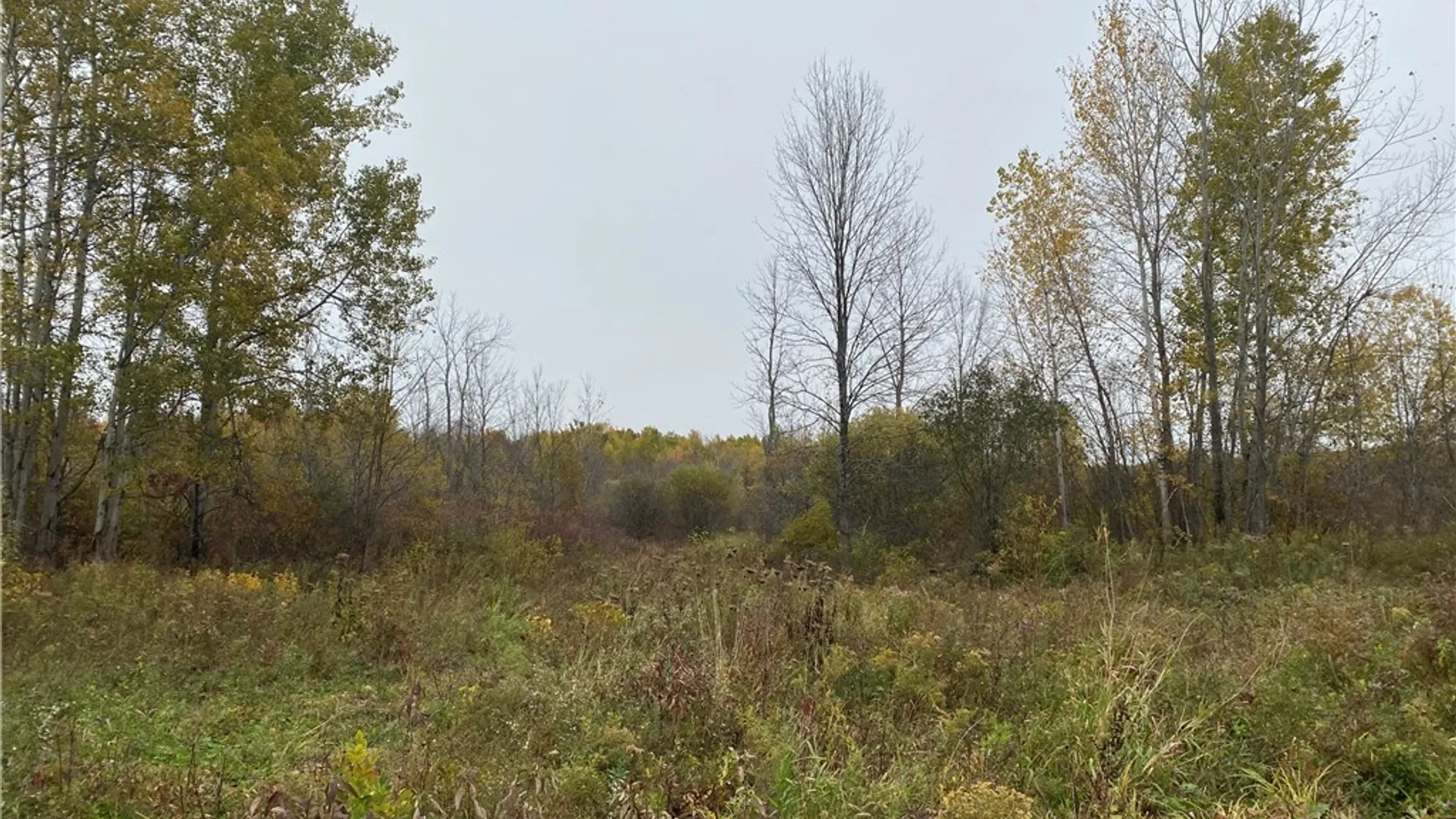 Property at 0 Caughdenoy Road, Clay, NY 13041 2