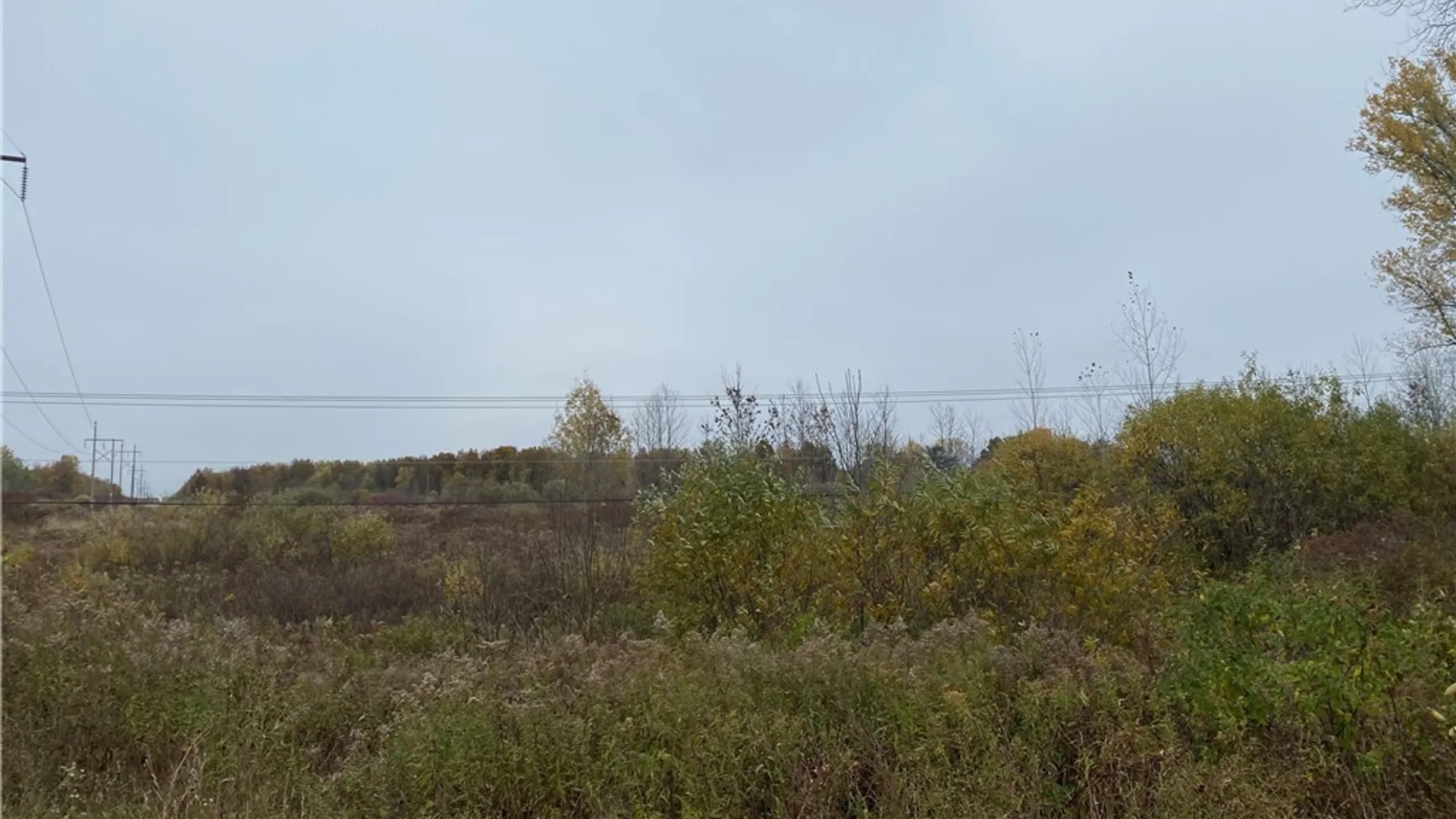 Property at 0 Caughdenoy Road, Clay, NY 13041 21