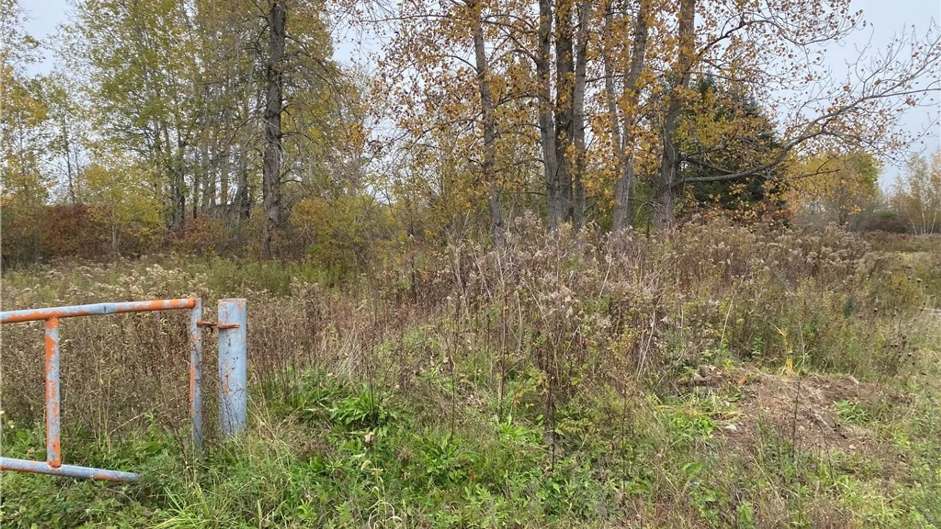 Property at 0 Caughdenoy Road, Clay, NY 13041 30