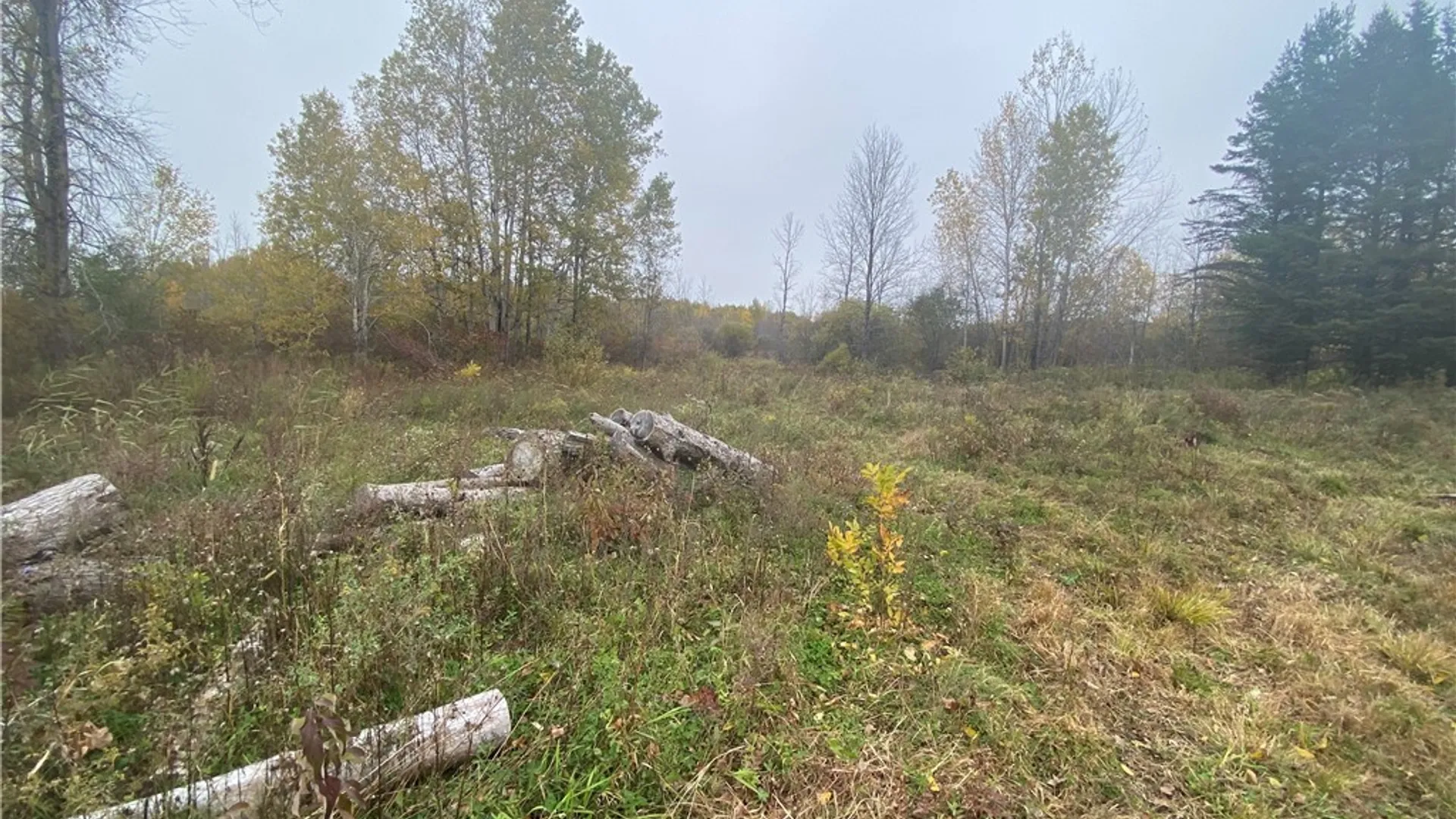 Property at 0 Caughdenoy Road, Clay, NY 13041 8