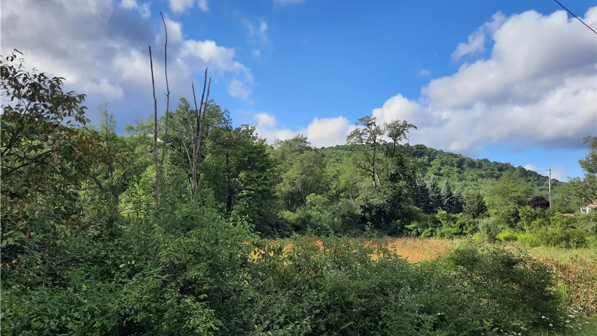 Property at County Route 41, Roxbury, NY 12474 10