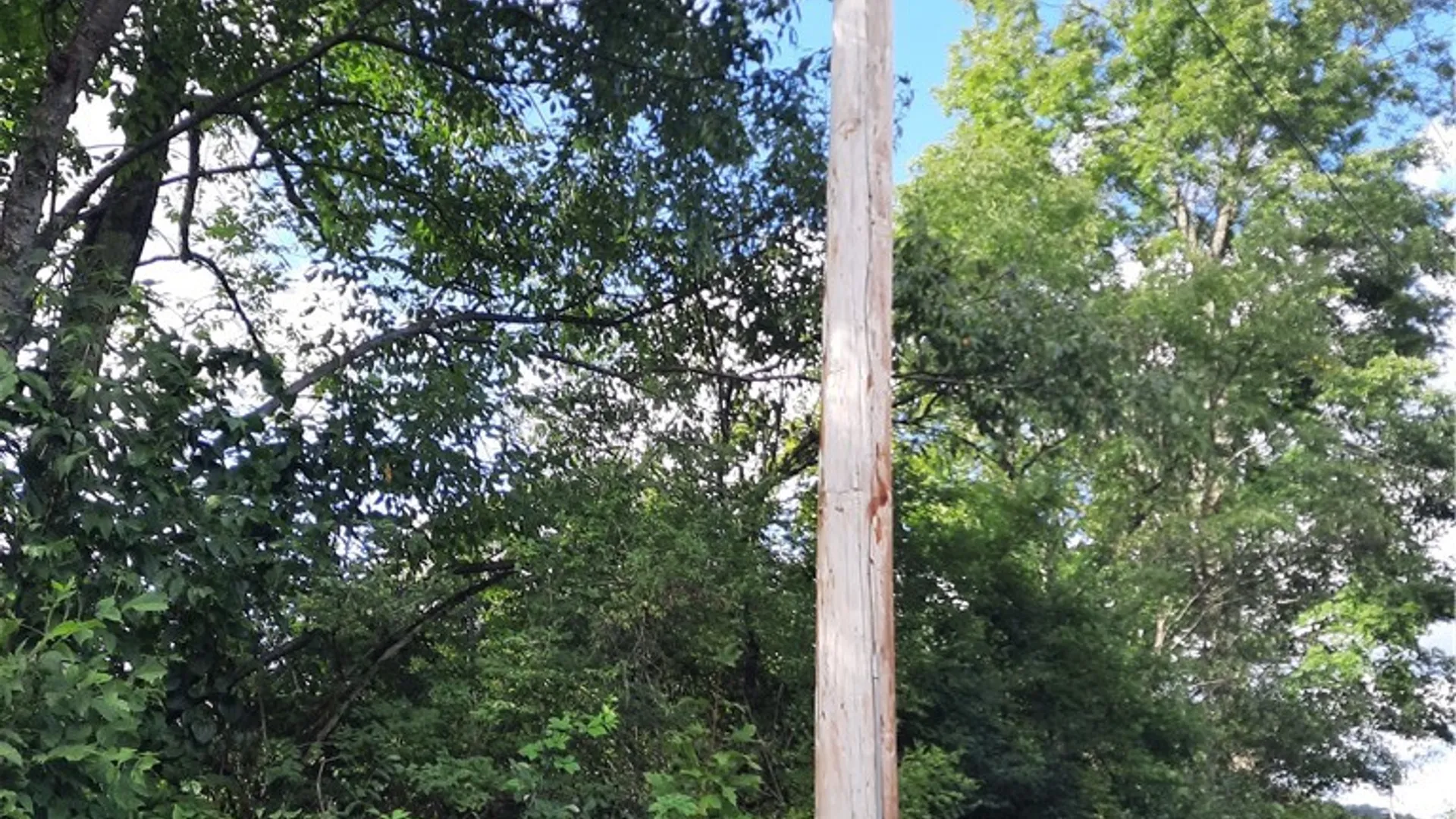 Property at County Route 41, Roxbury, NY 12474 14