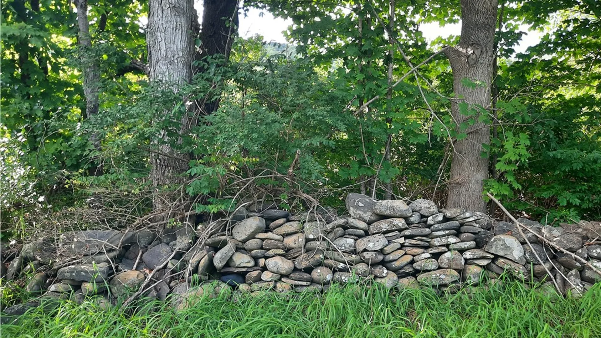 Property at County Route 41, Roxbury, NY 12474 15