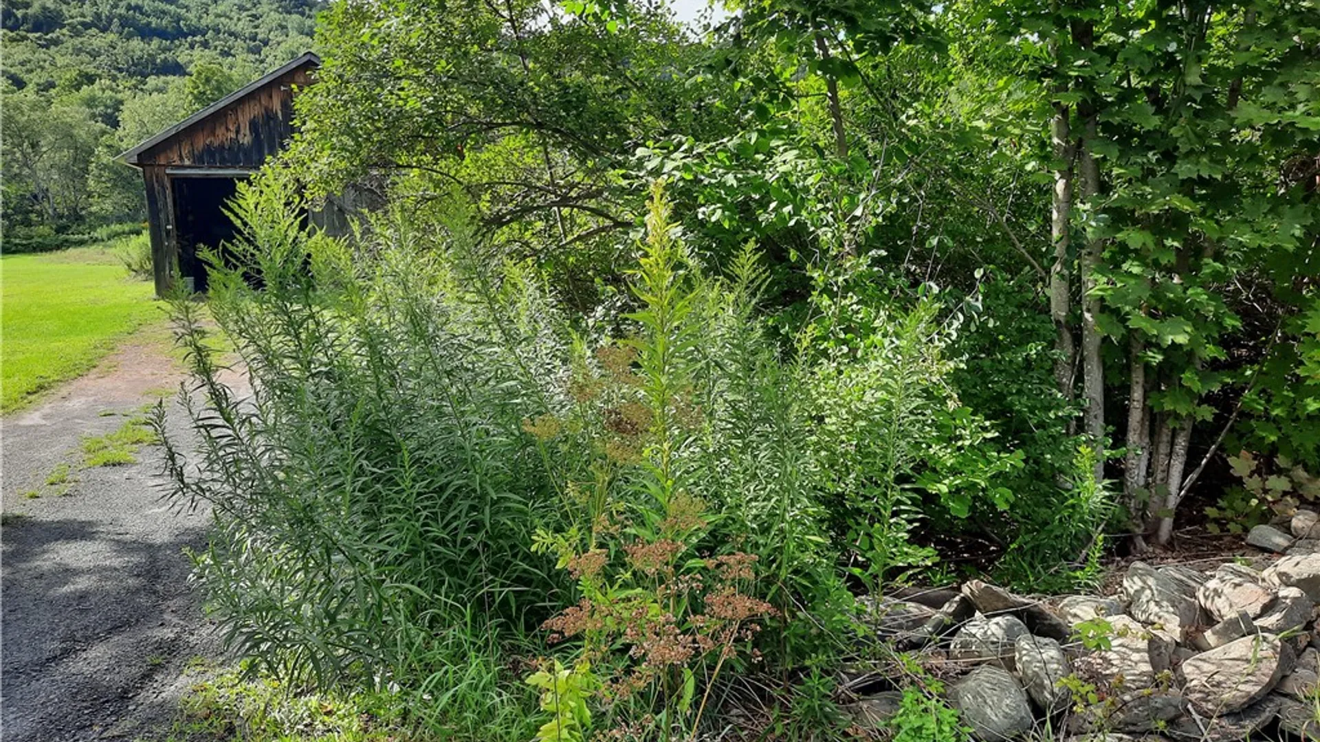 Property at County Route 41, Roxbury, NY 12474 16