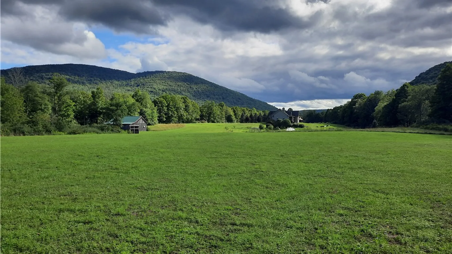 Property at County Route 41, Roxbury, NY 12474 17