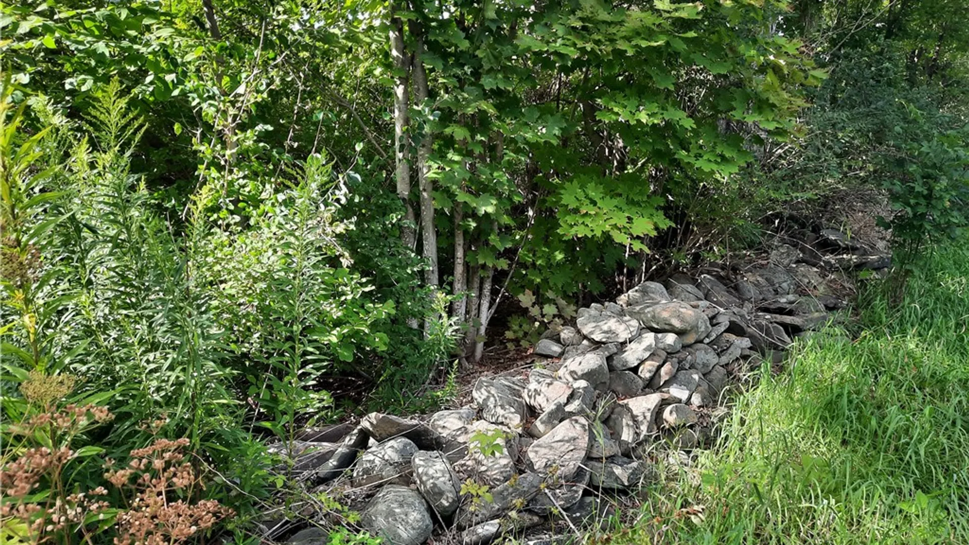 Property at County Route 41, Roxbury, NY 12474 18