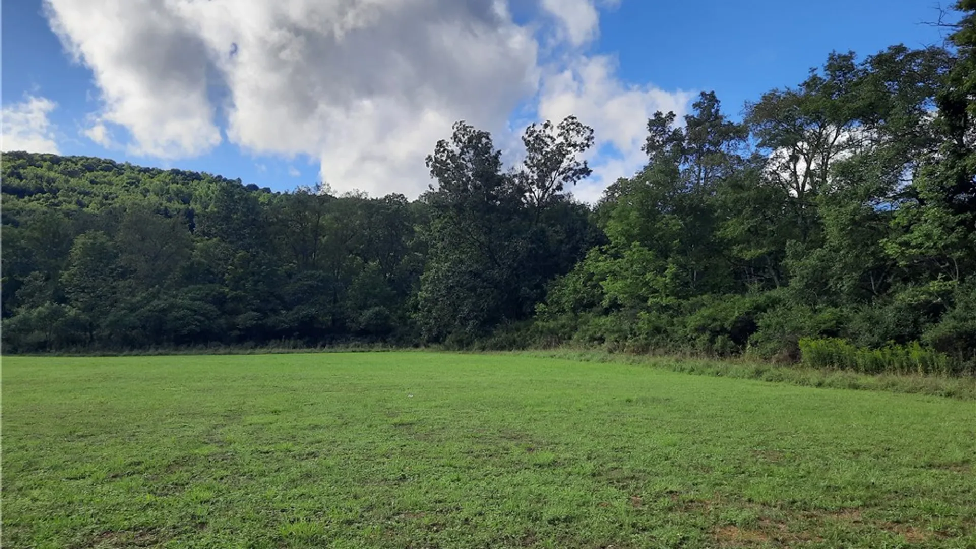 Property at County Route 41, Roxbury, NY 12474 20