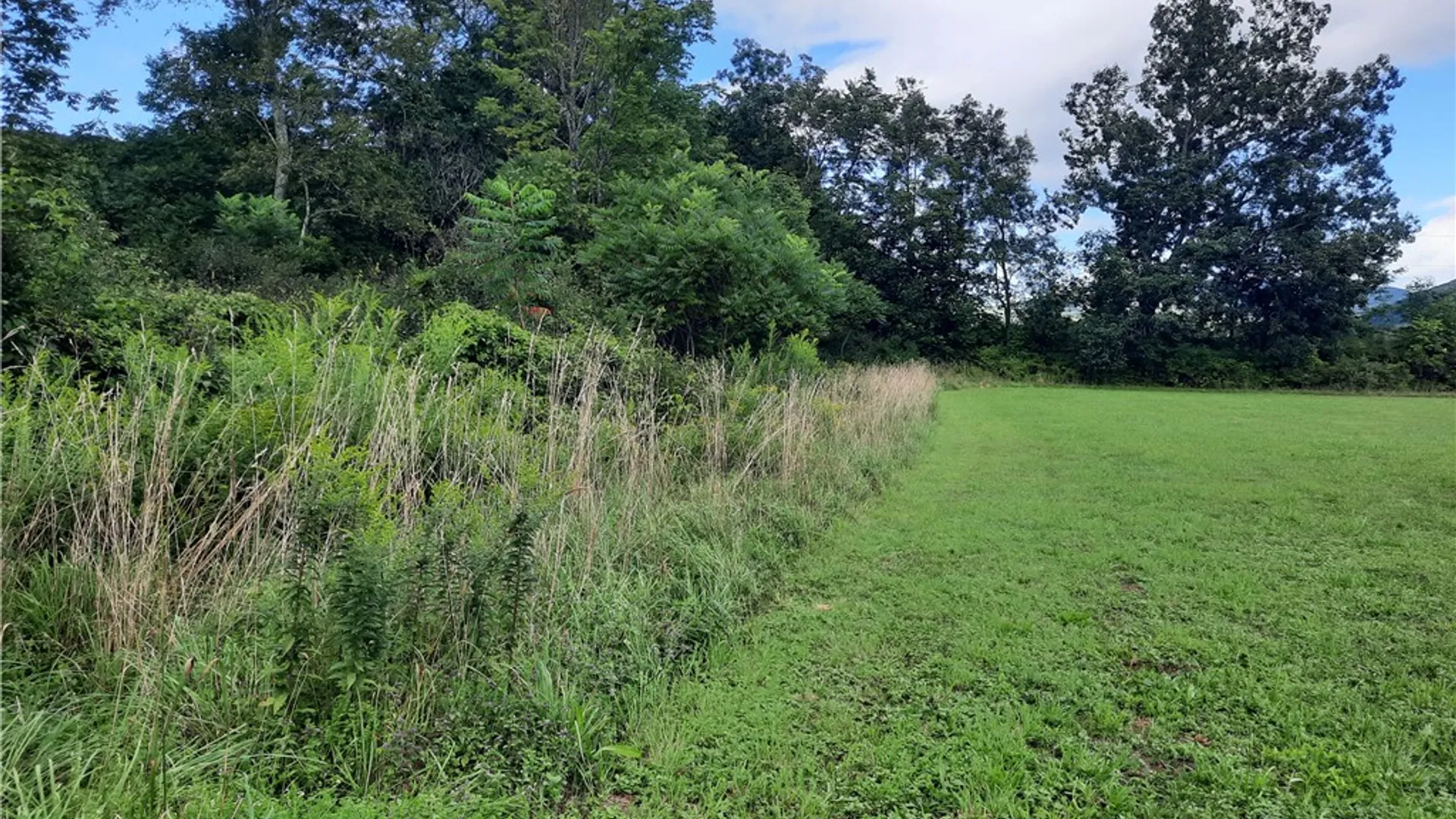 Property at County Route 41, Roxbury, NY 12474 21