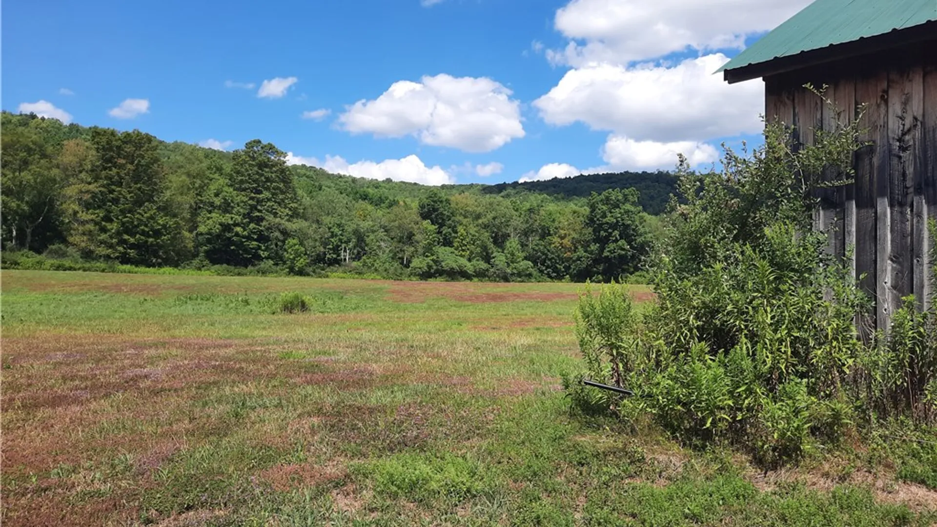 Property at County Route 41, Roxbury, NY 12474 25