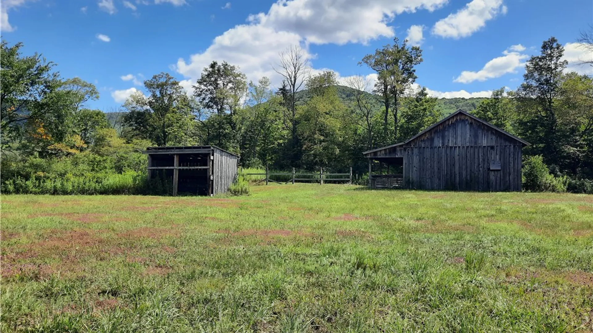 Property at County Route 41, Roxbury, NY 12474 3