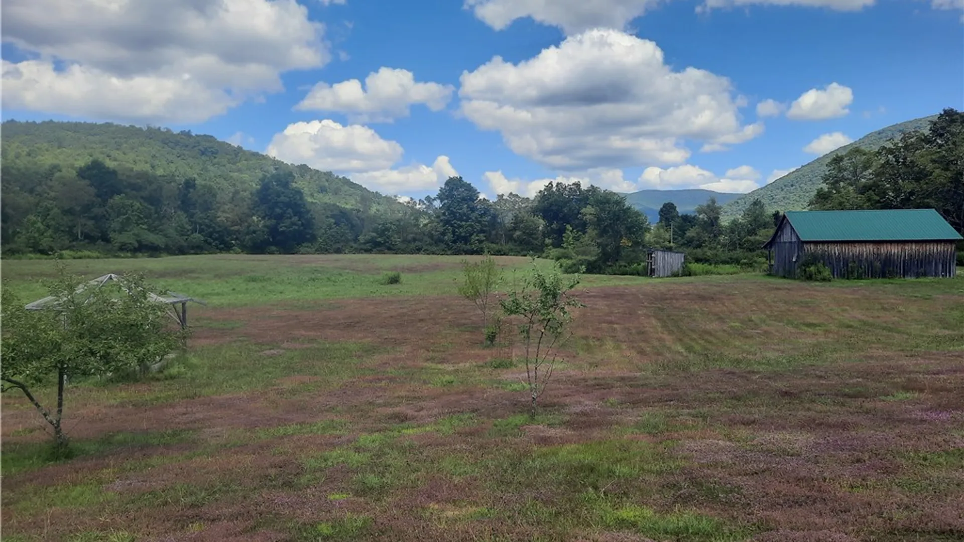 Property at County Route 41, Roxbury, NY 12474 36