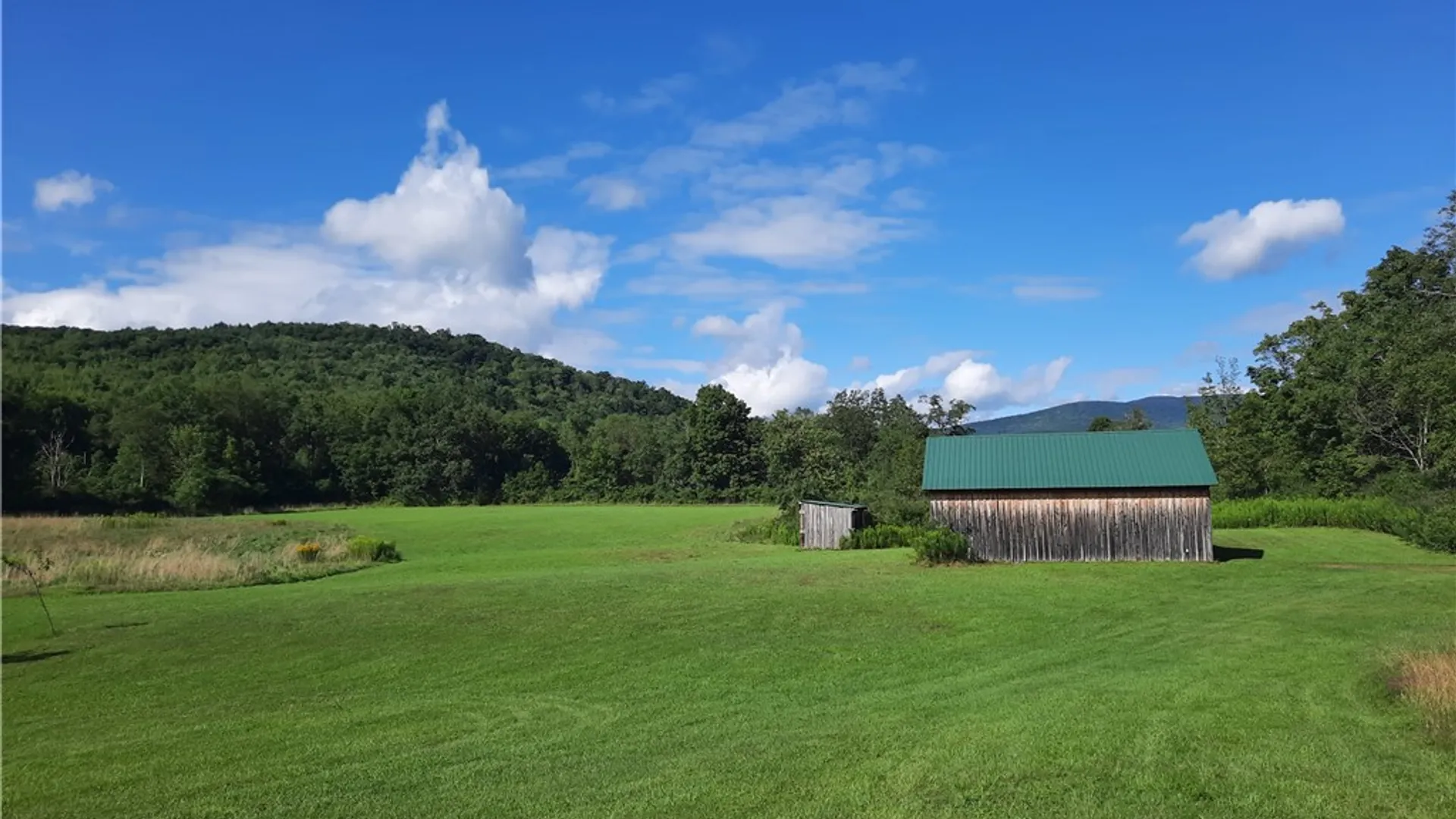 Property at County Route 41, Roxbury, NY 12474 37