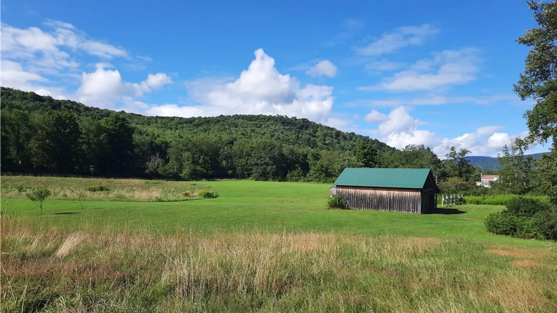 Property at County Route 41, Roxbury, NY 12474 38