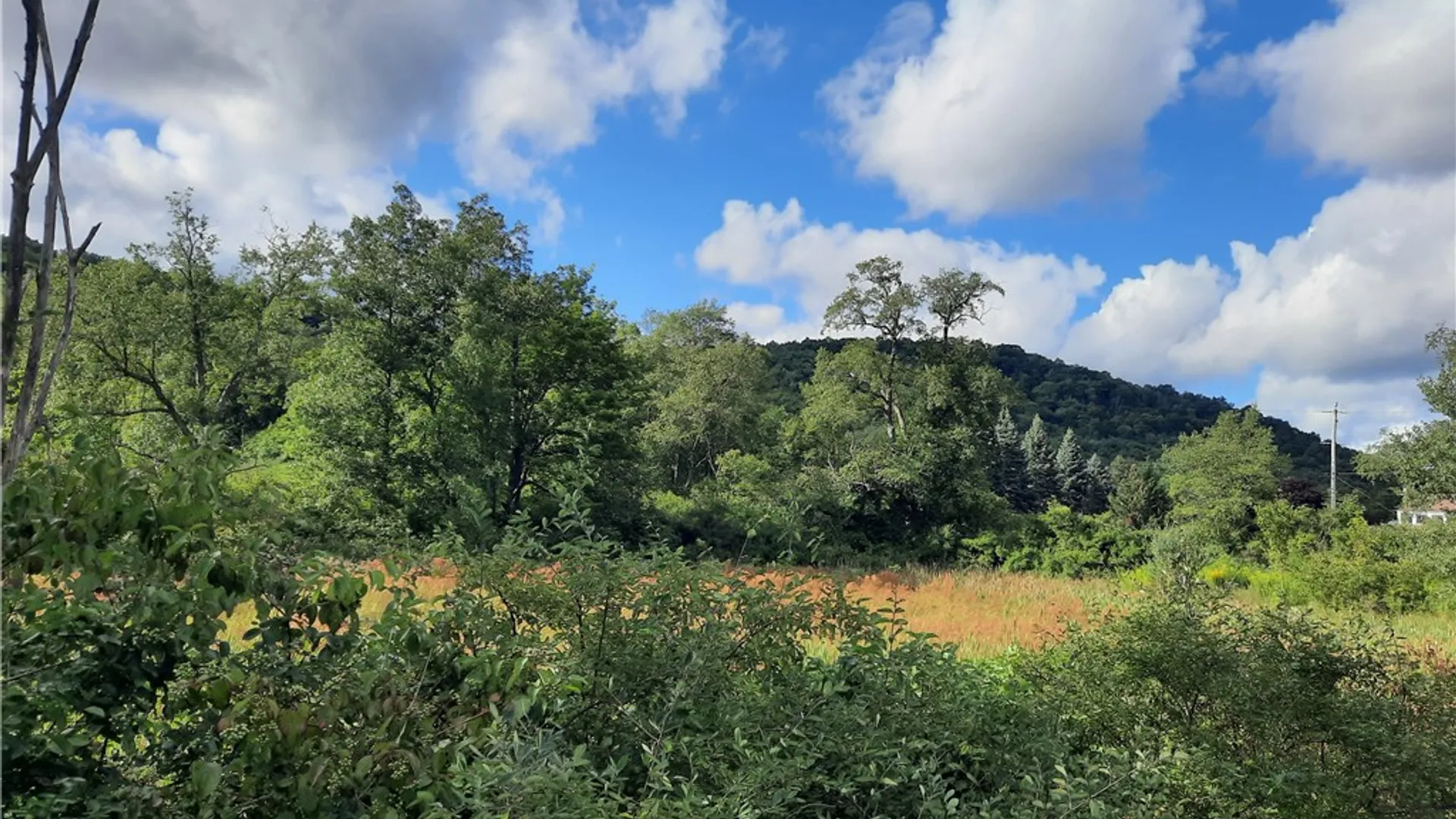 Property at County Route 41, Roxbury, NY 12474 39