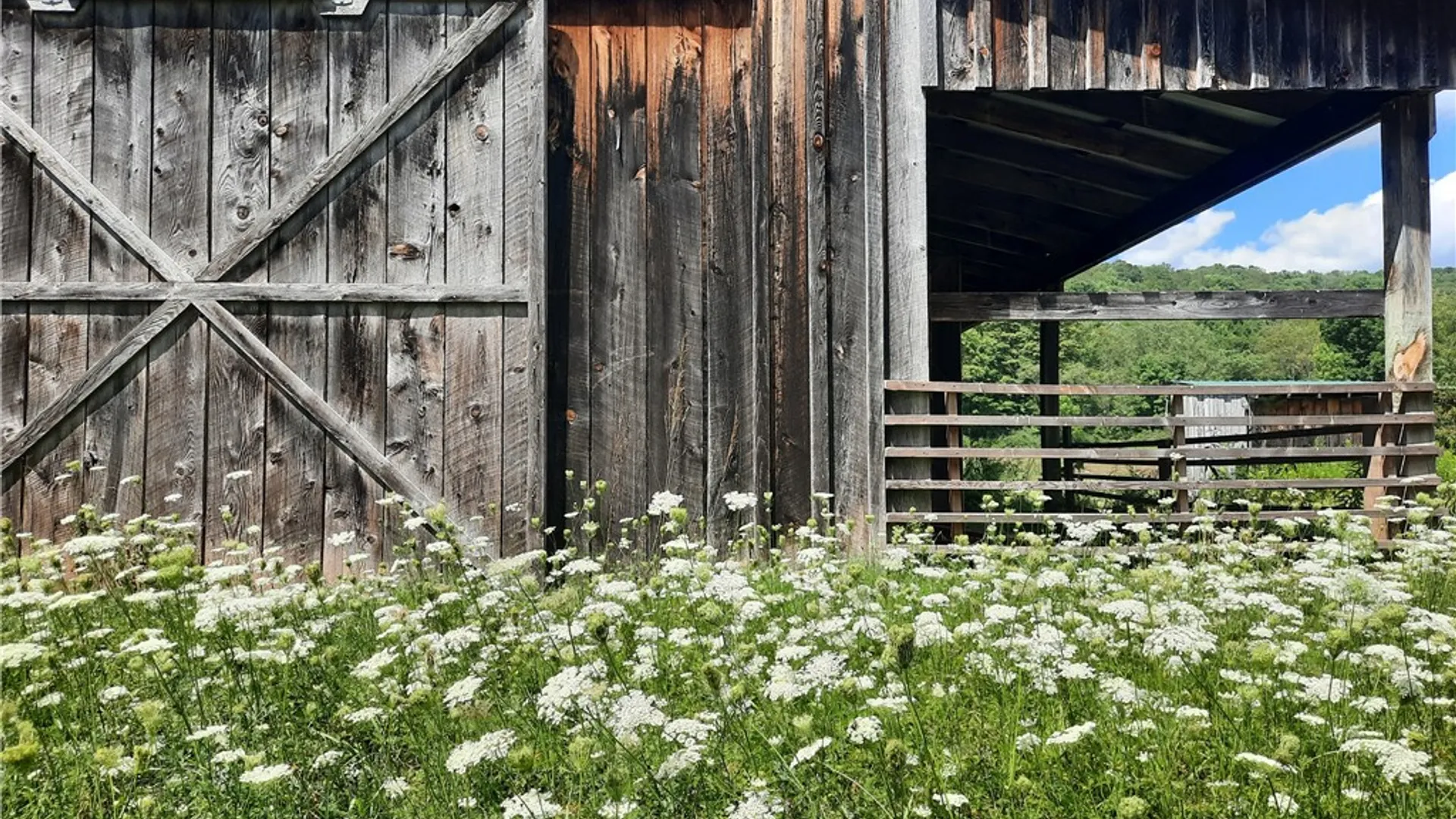 Property at County Route 41, Roxbury, NY 12474 4